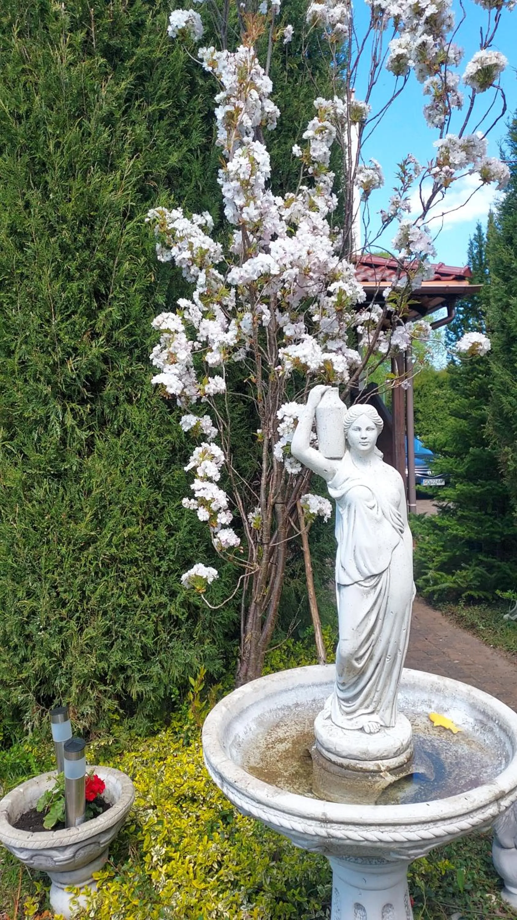 Garden in Willa Atrium