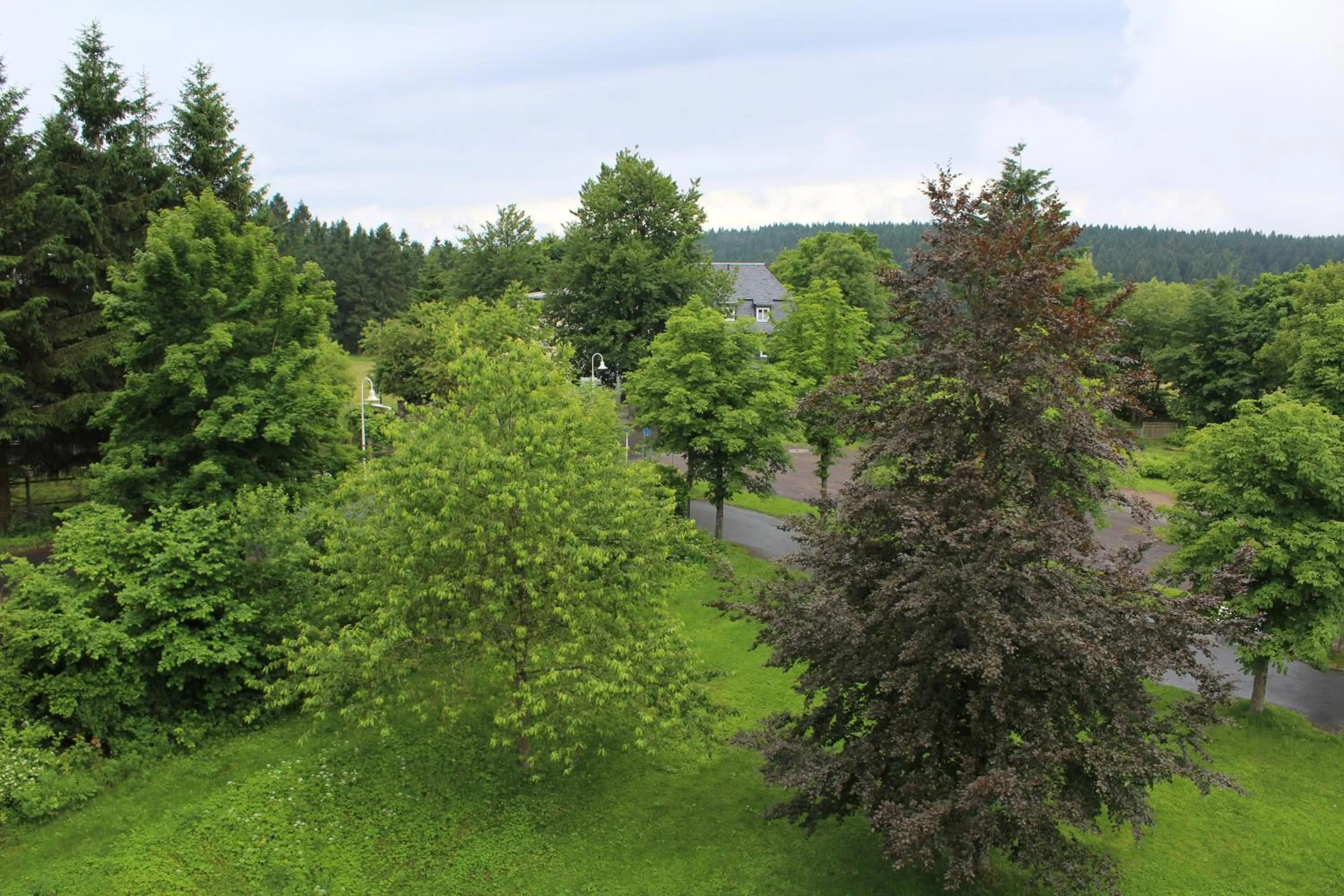 View (from property/room) in Hotel Rennsteig