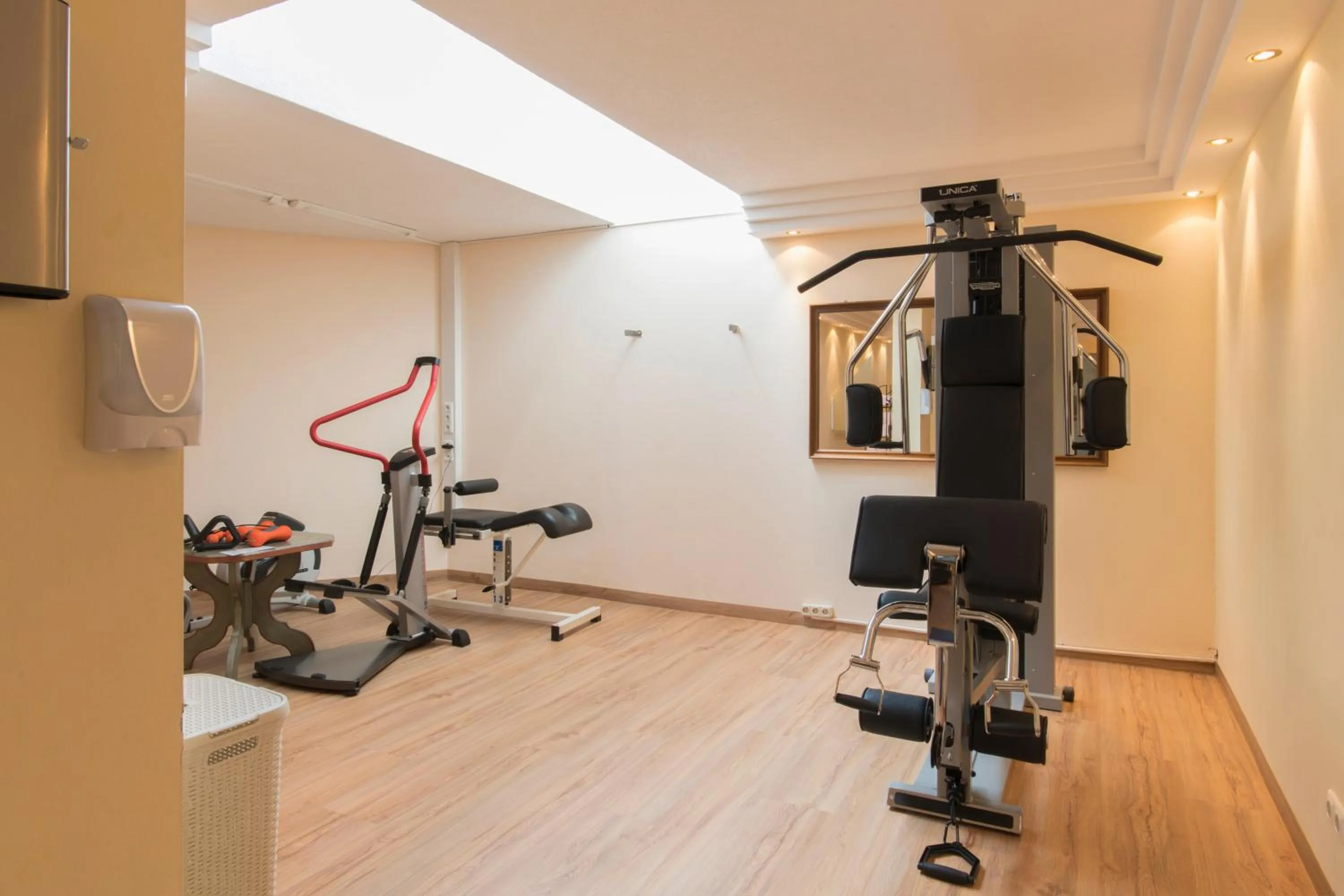Fitness centre/facilities in Hotel Anemone