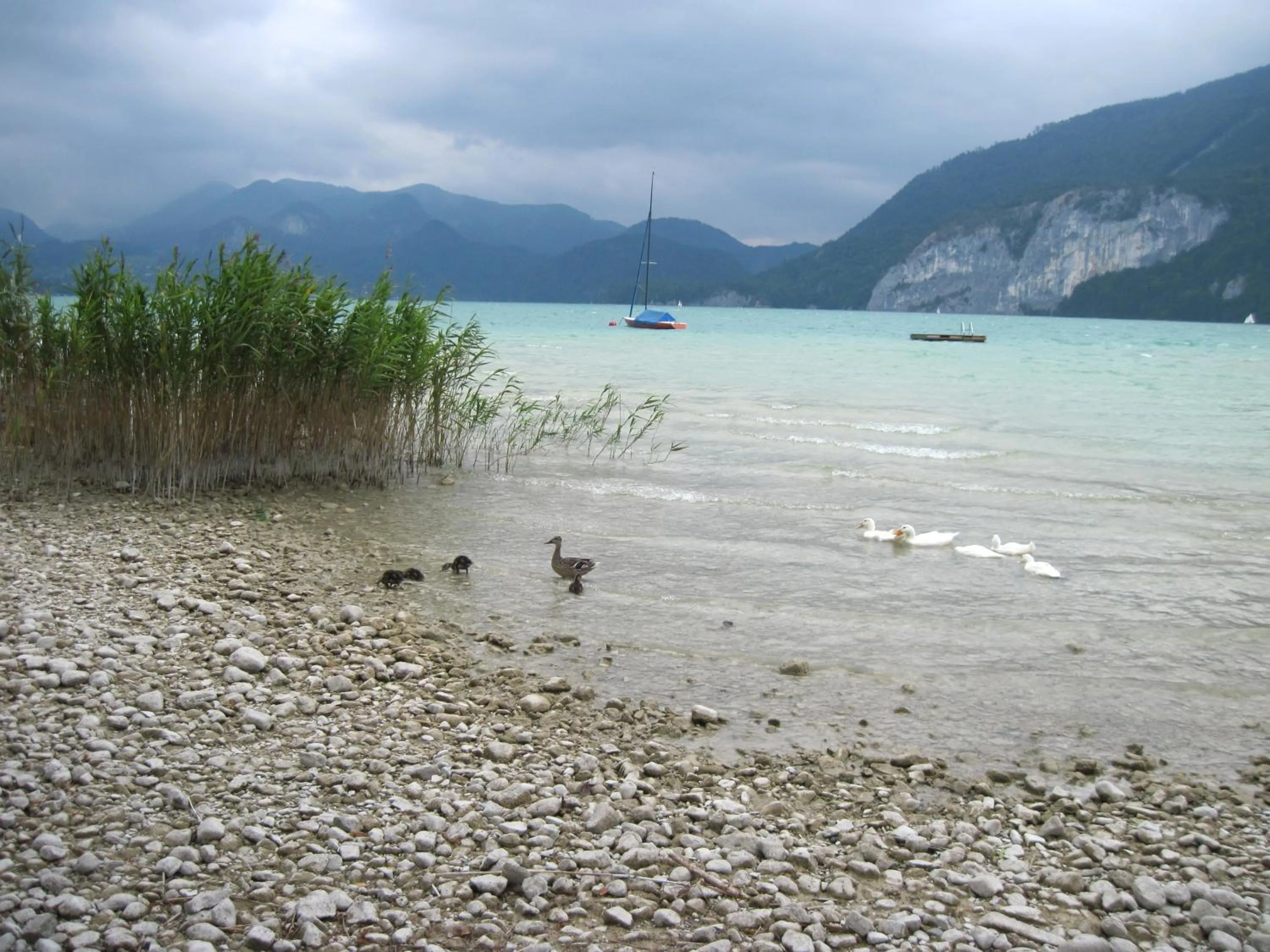 Lake view in Landhaus Leitner am Wolfgangsee