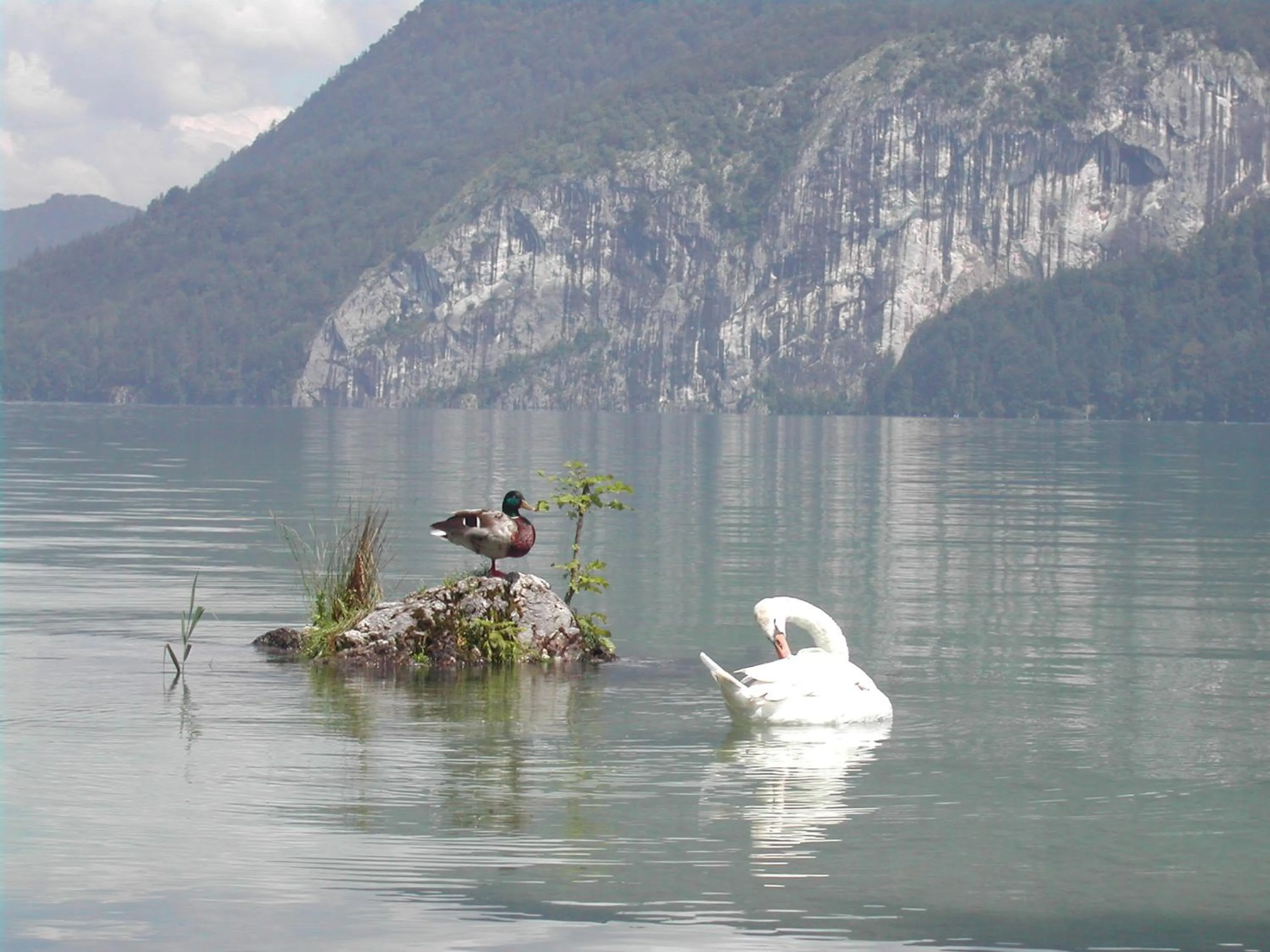Other in Landhaus Leitner am Wolfgangsee