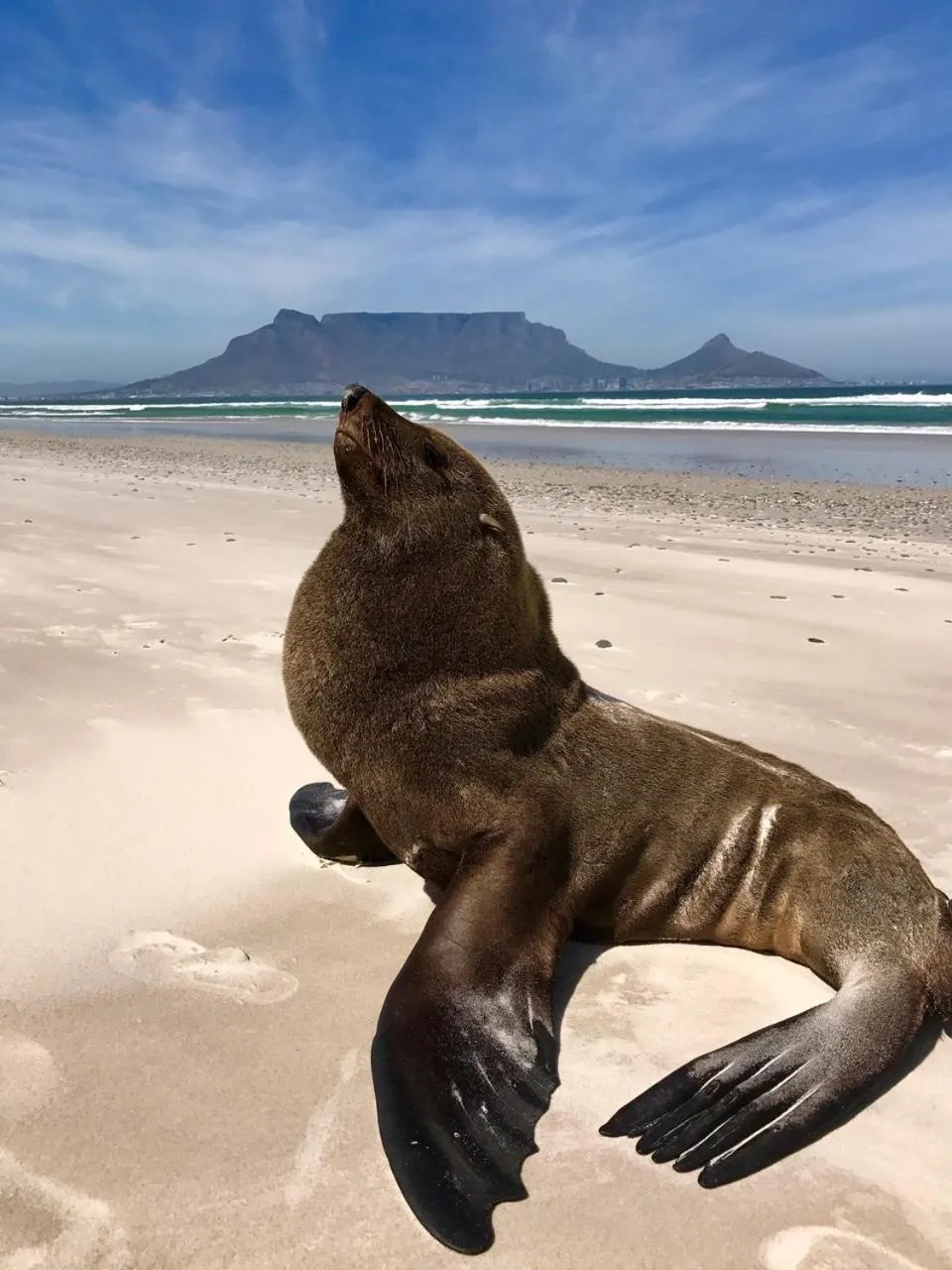 Beach in Atlantic Breeze