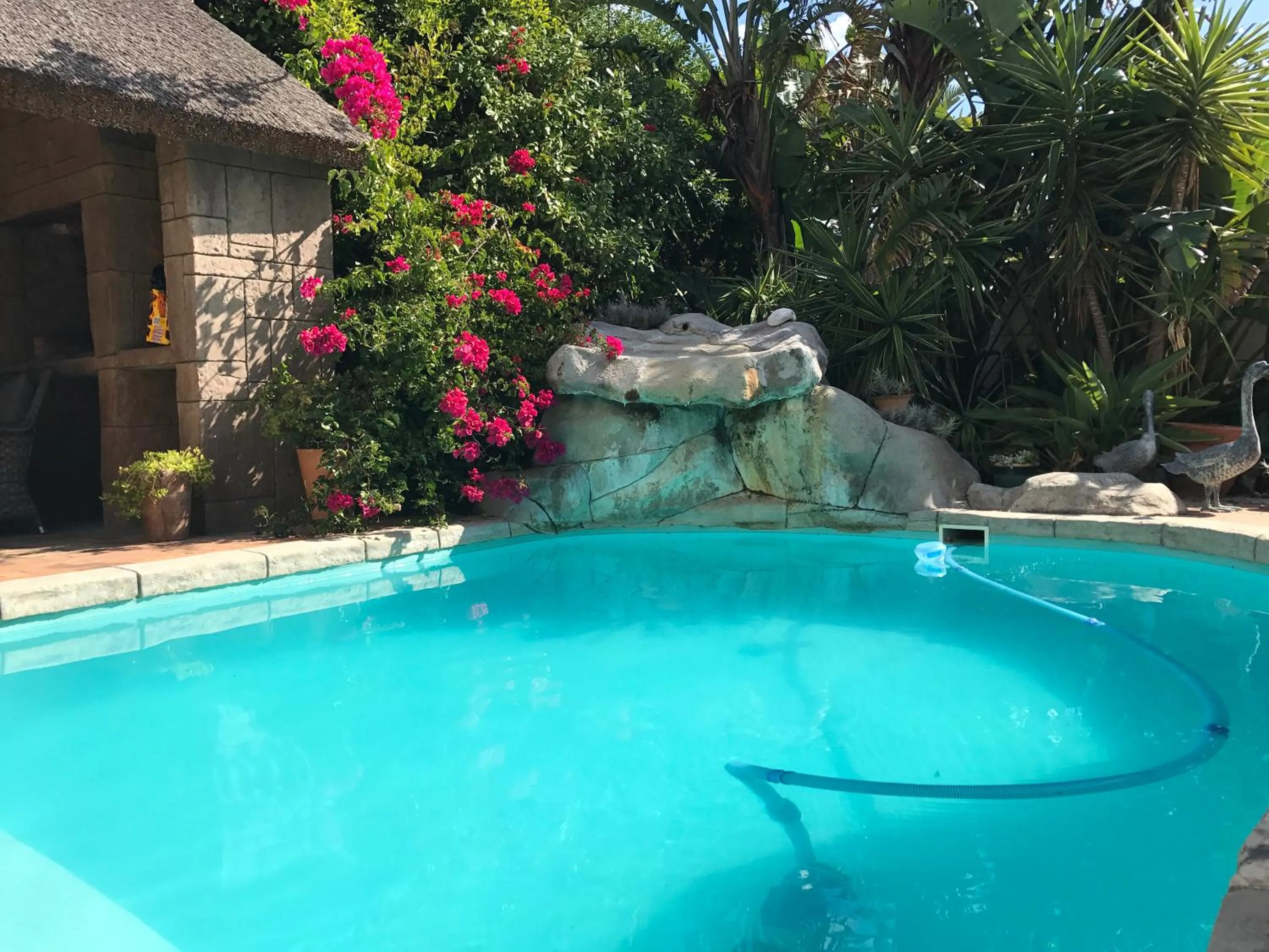 Garden in Atlantic Breeze