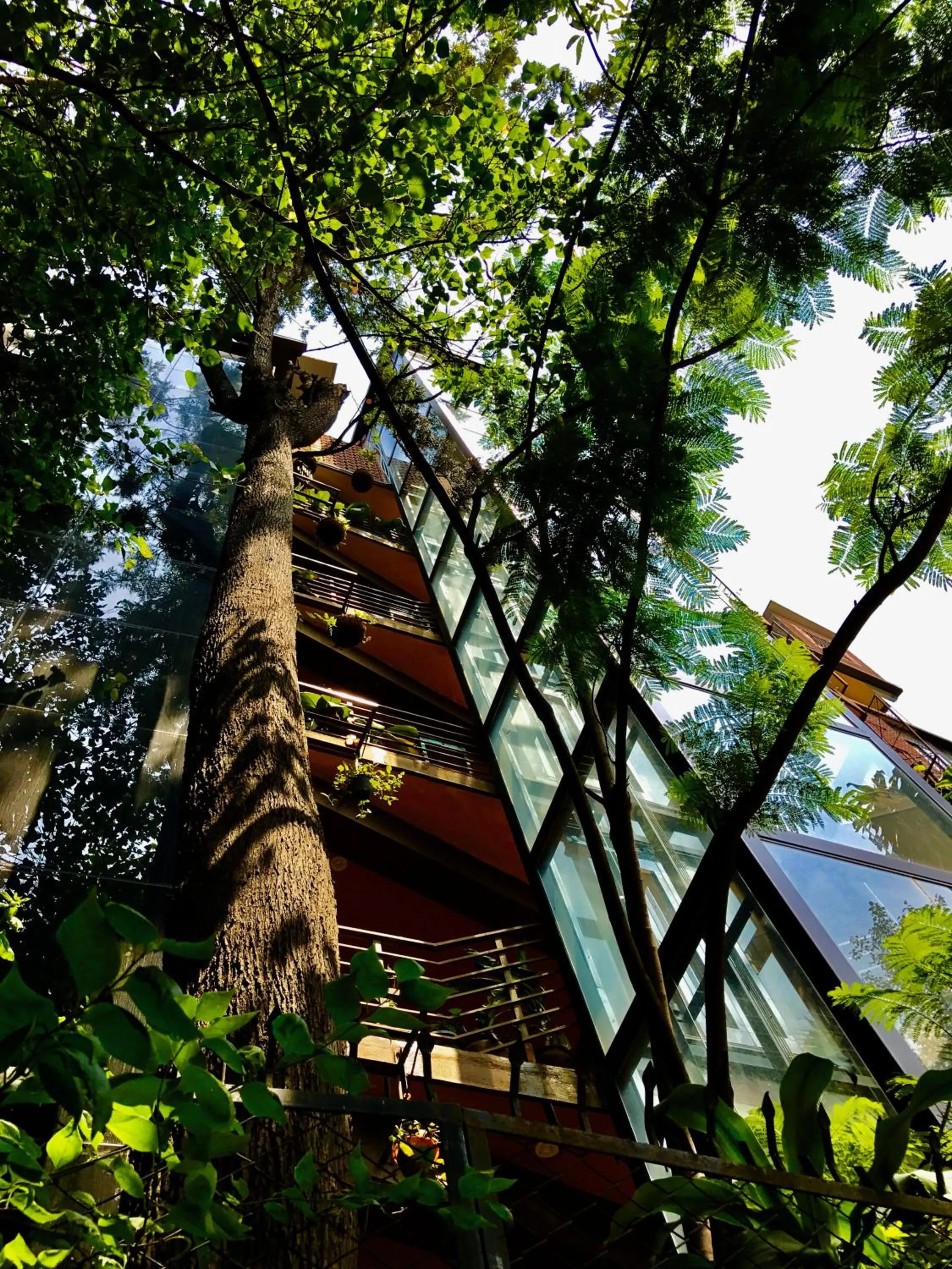 Property building in Golden Lotus Bangalore Boutique Suites