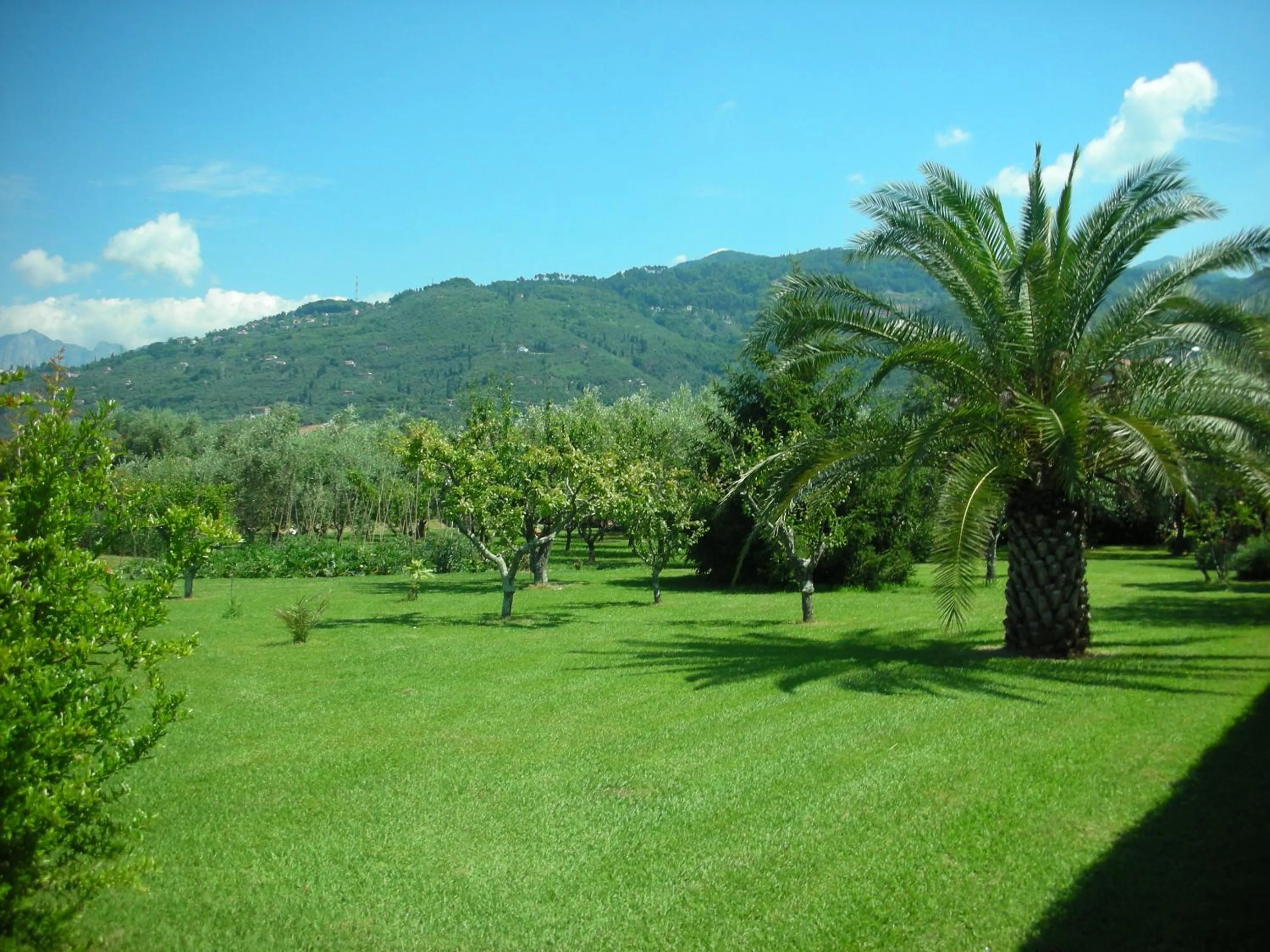 Garden in B&B Da Pio