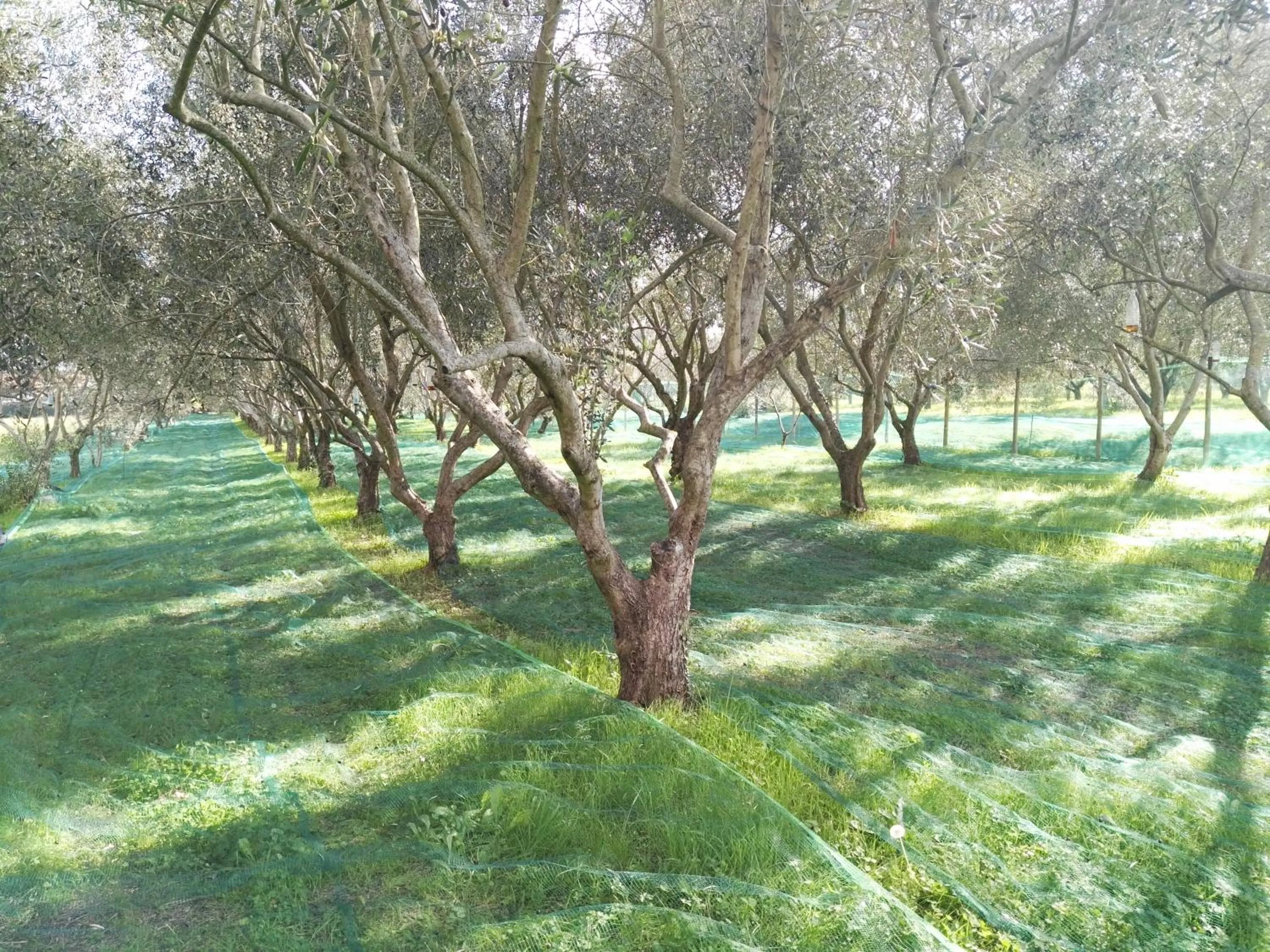 Autumn in B&B Da Pio