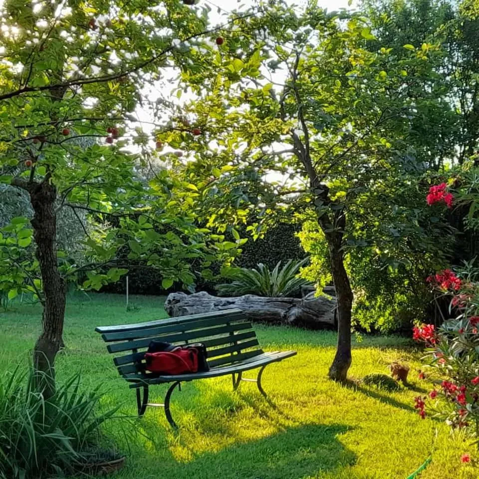 Garden view in B&B Da Pio