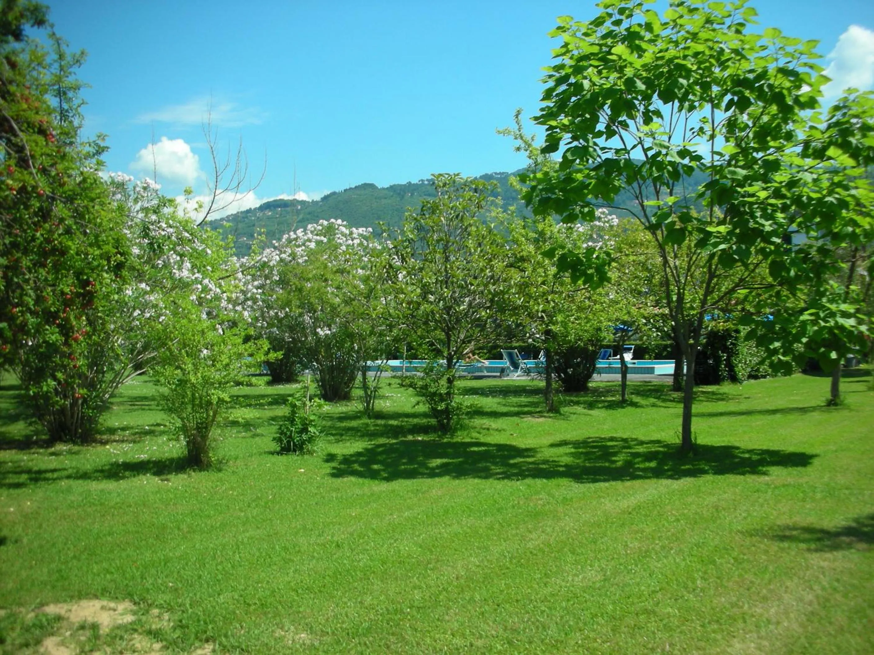 Garden in B&B Da Pio
