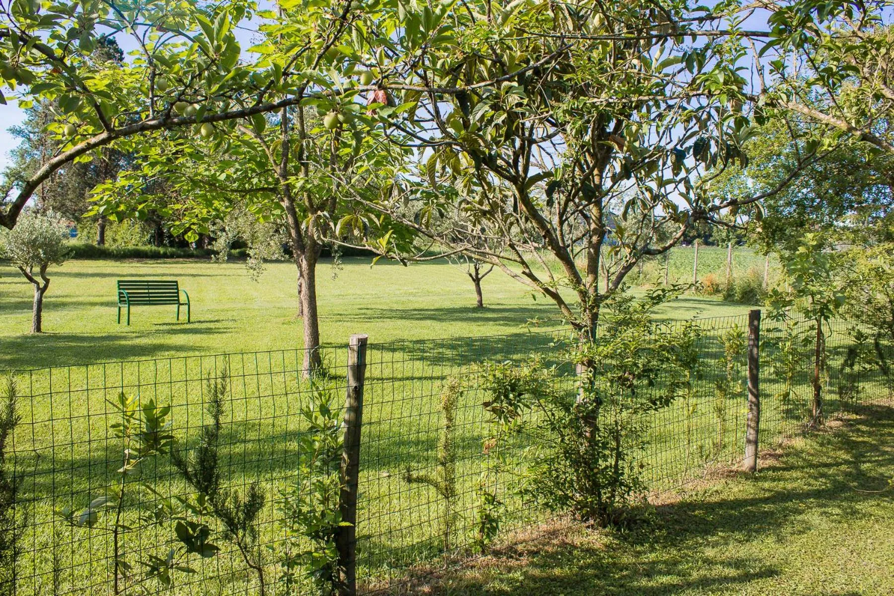 Garden in B&B Da Pio