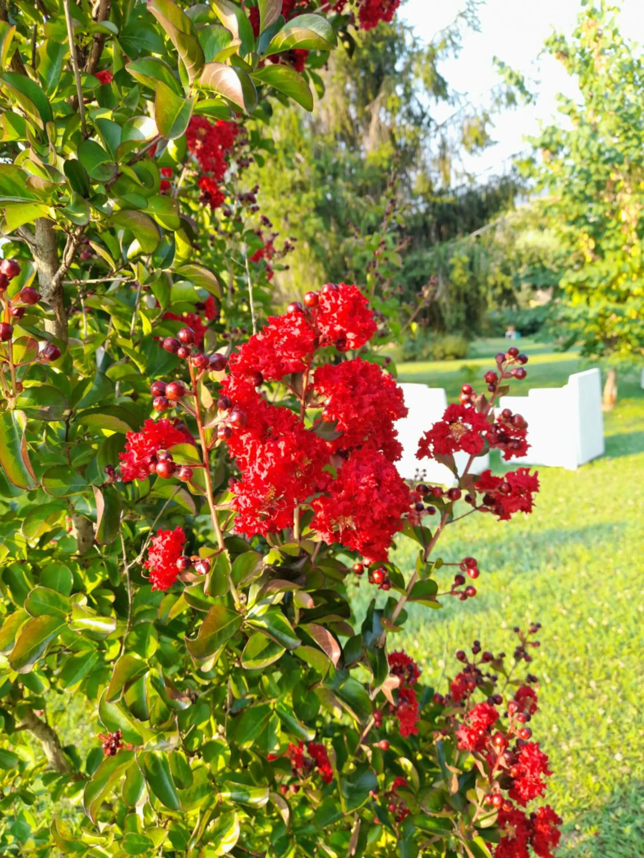 Garden view in B&B Da Pio