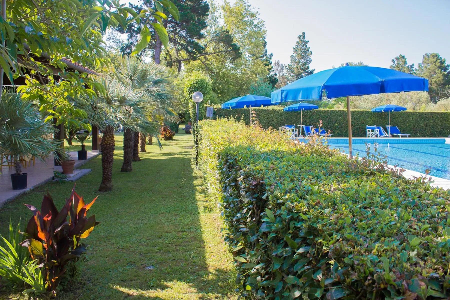 Garden in B&B Da Pio