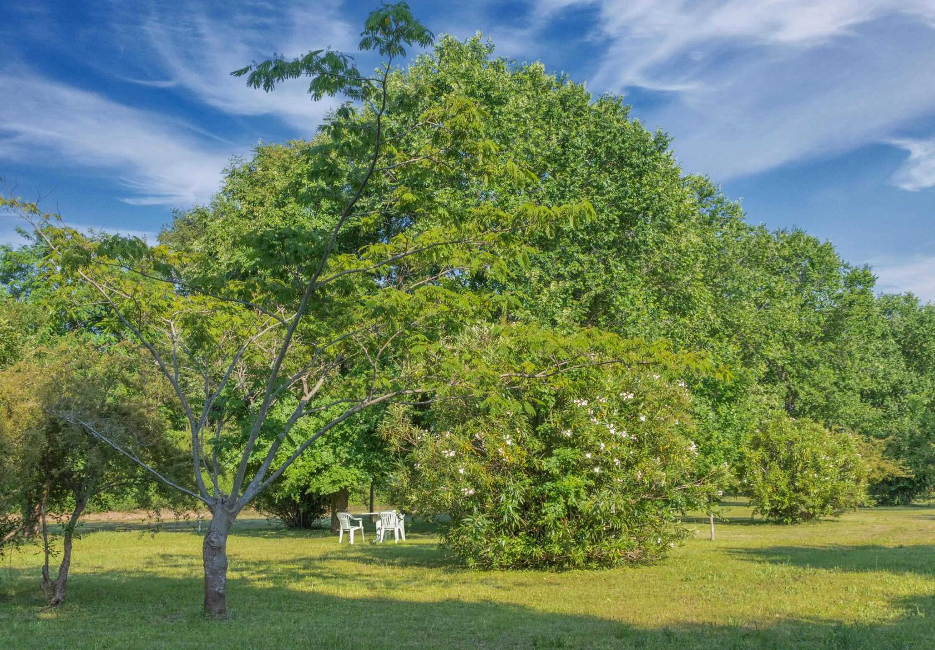 Natural landscape in B&B Da Pio