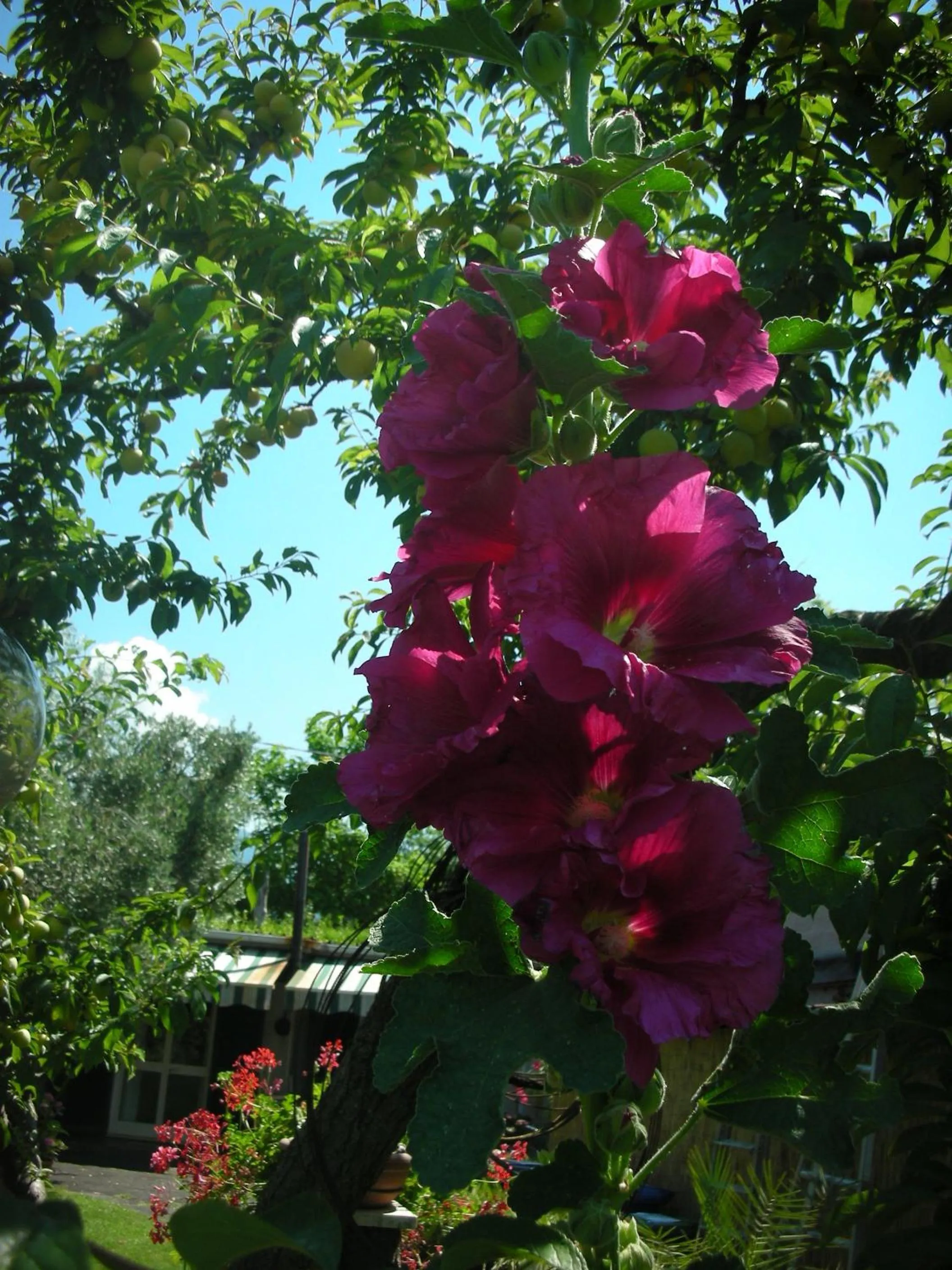 Decorative detail in B&B Da Pio