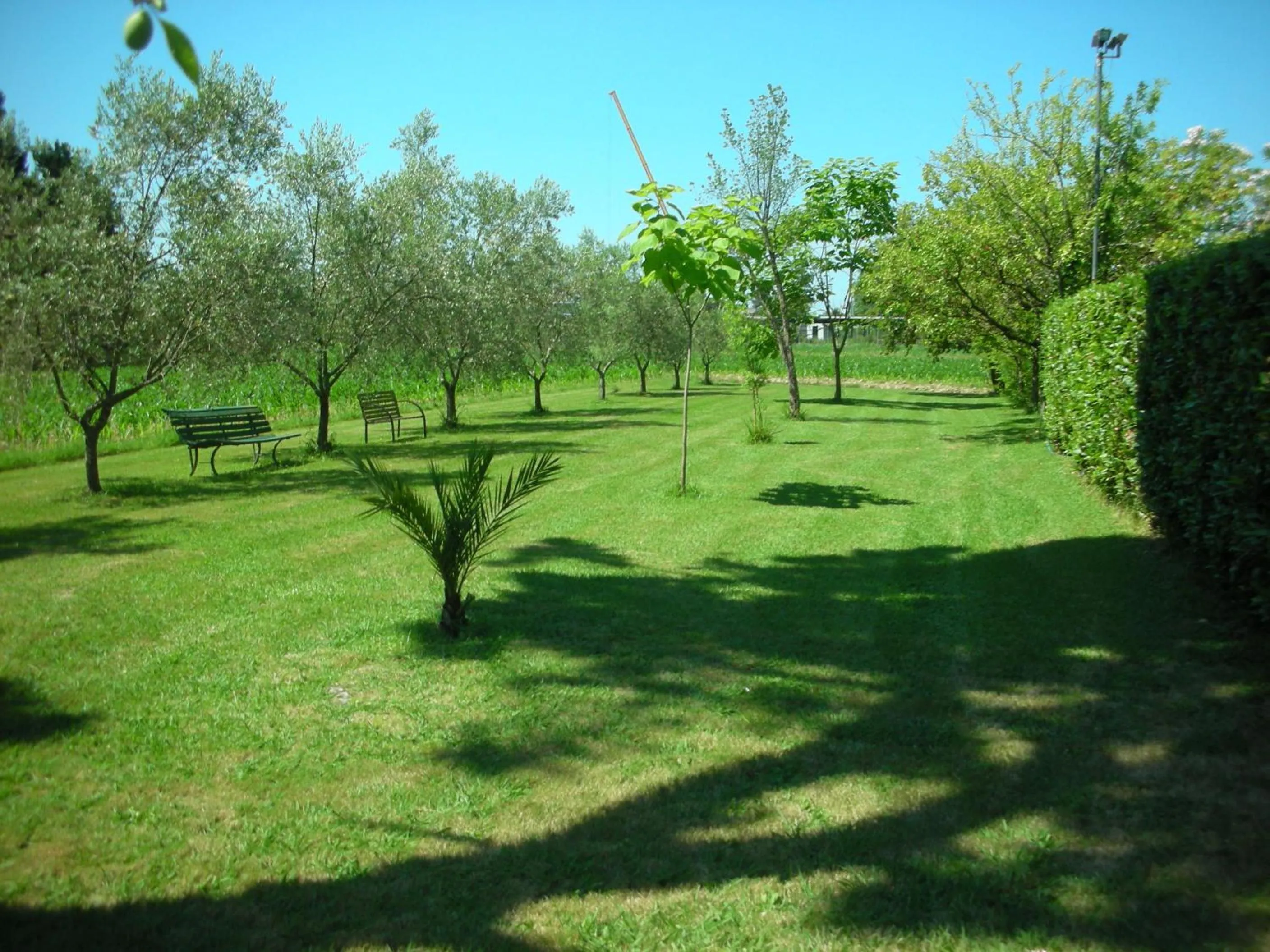 Garden in B&B Da Pio