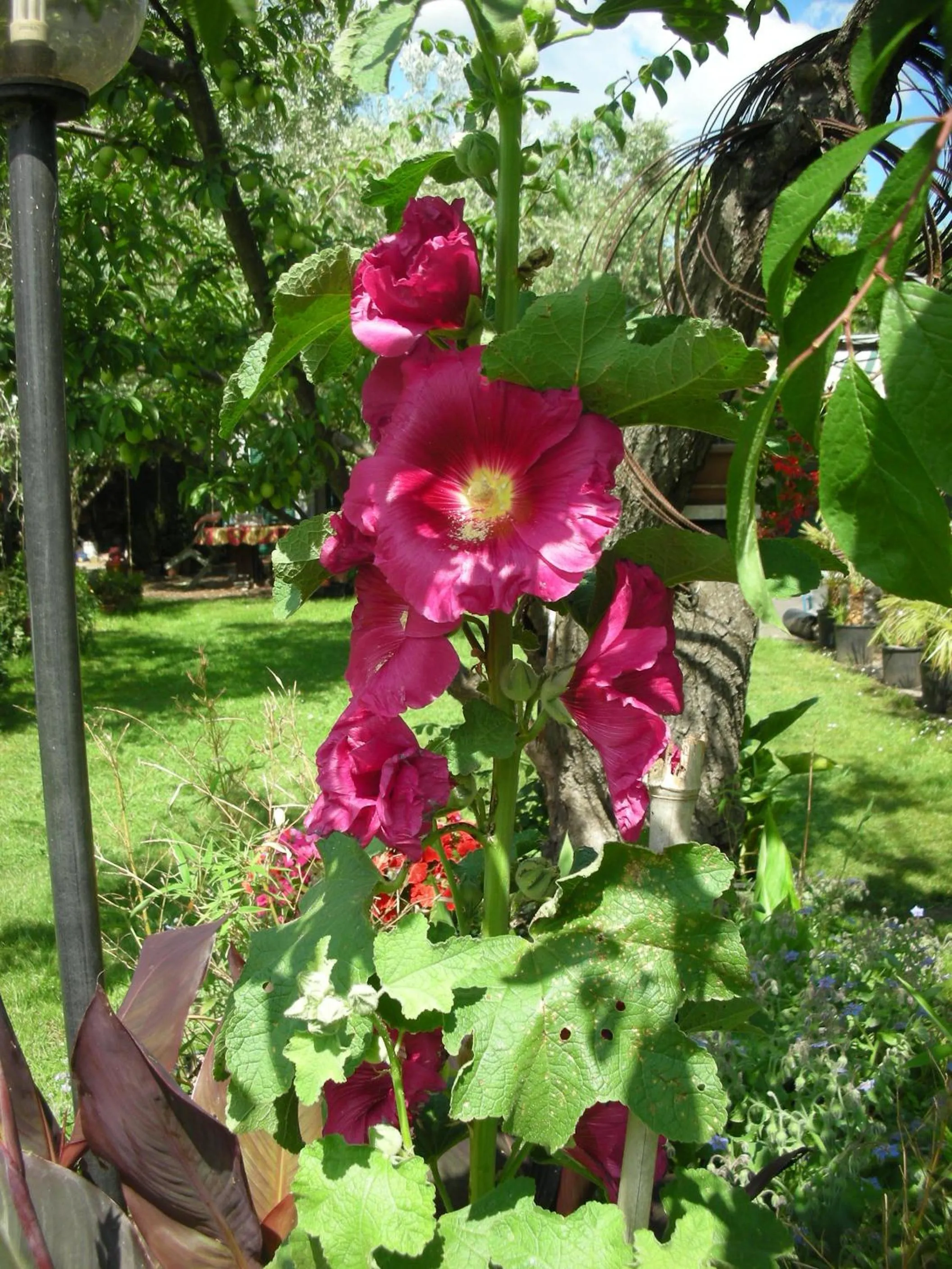 Decorative detail in B&B Da Pio