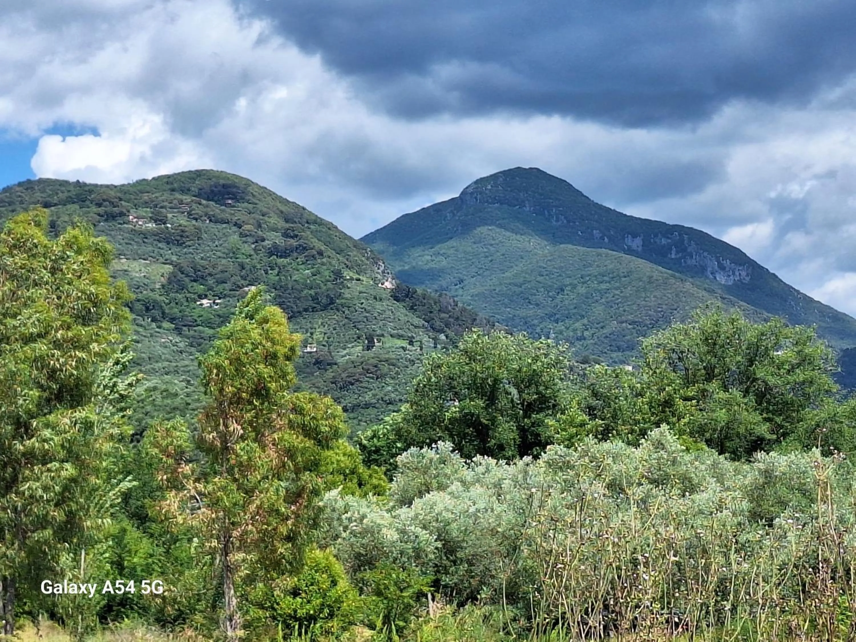 Natural landscape in B&B Da Pio