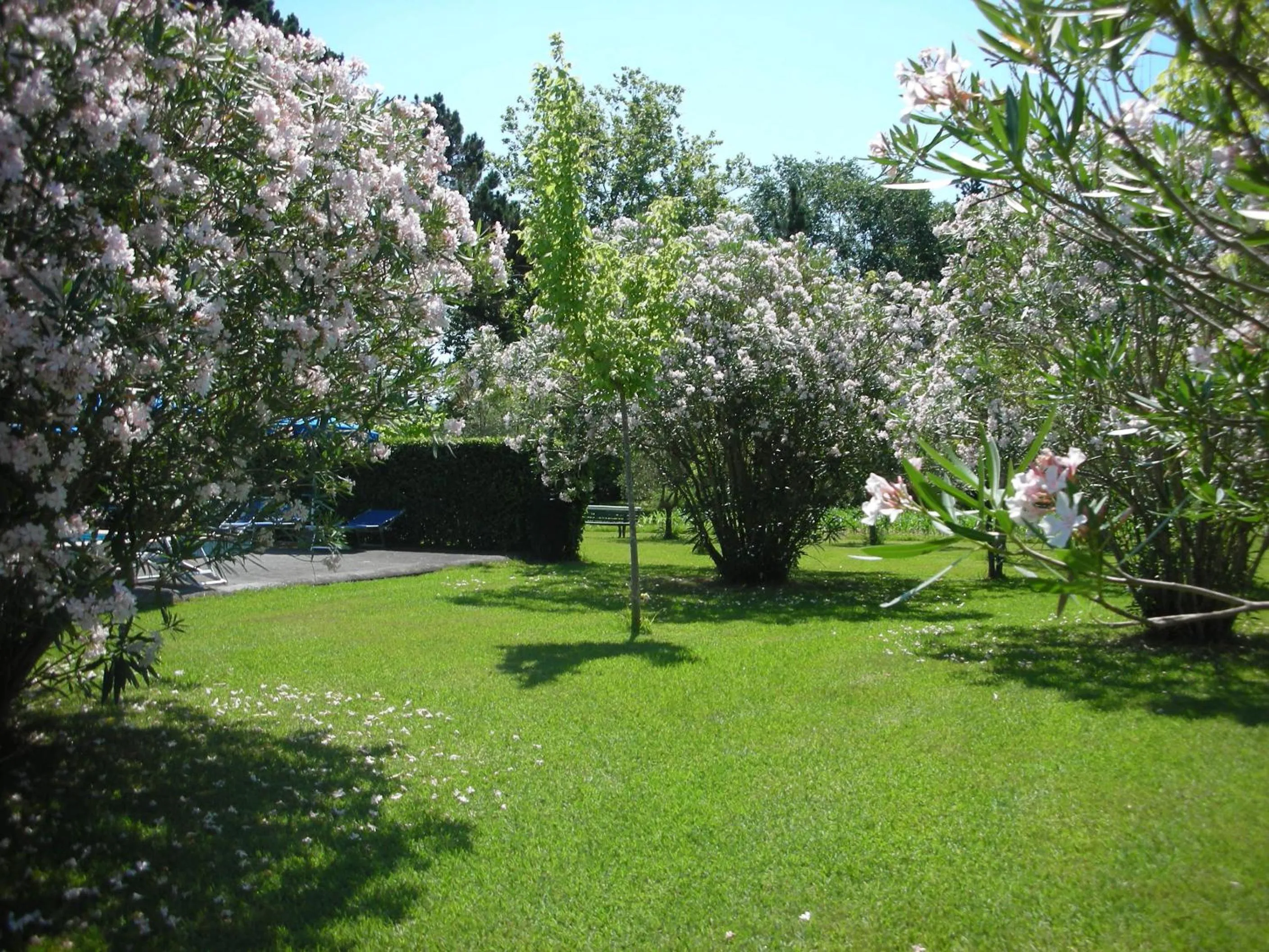 Garden in B&B Da Pio