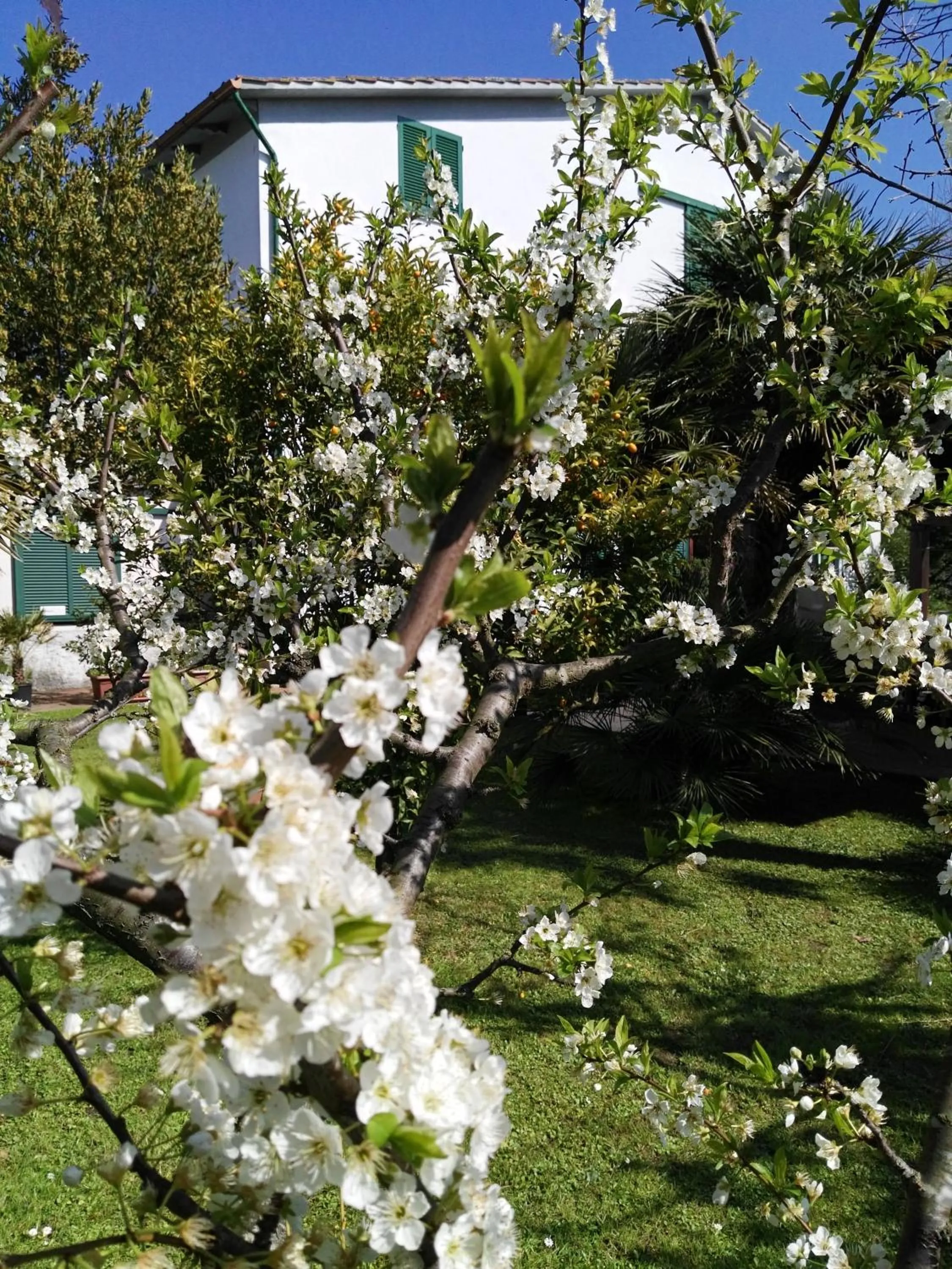 Spring in B&B Da Pio