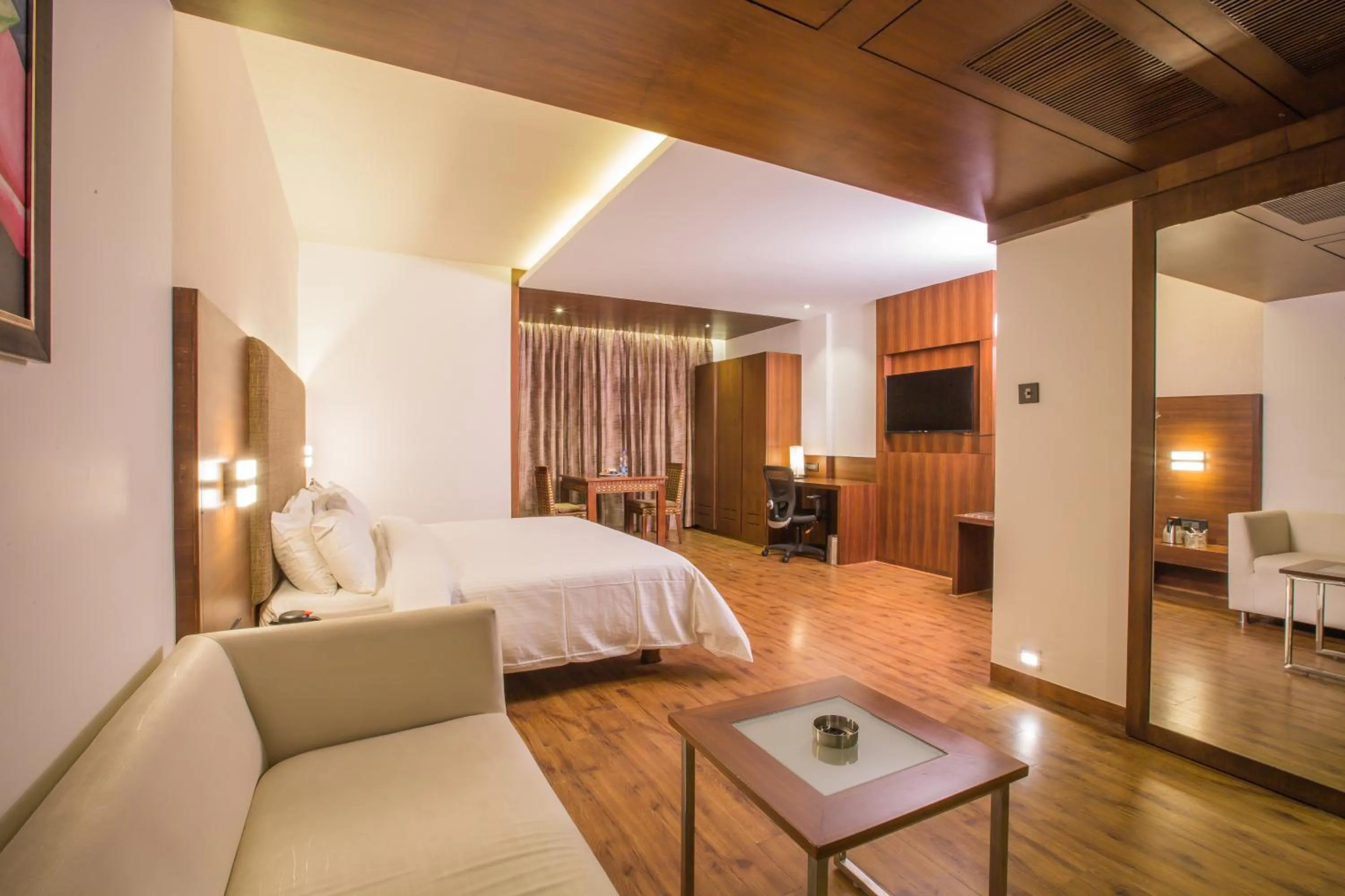 TV and multimedia in Hotel Hemala