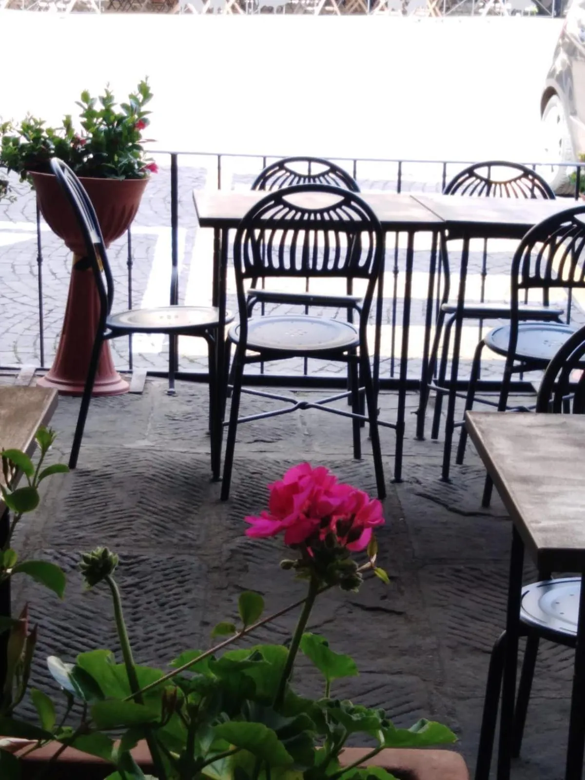 Restaurant/places to eat in Albergo Giovanni Da Verrazzano