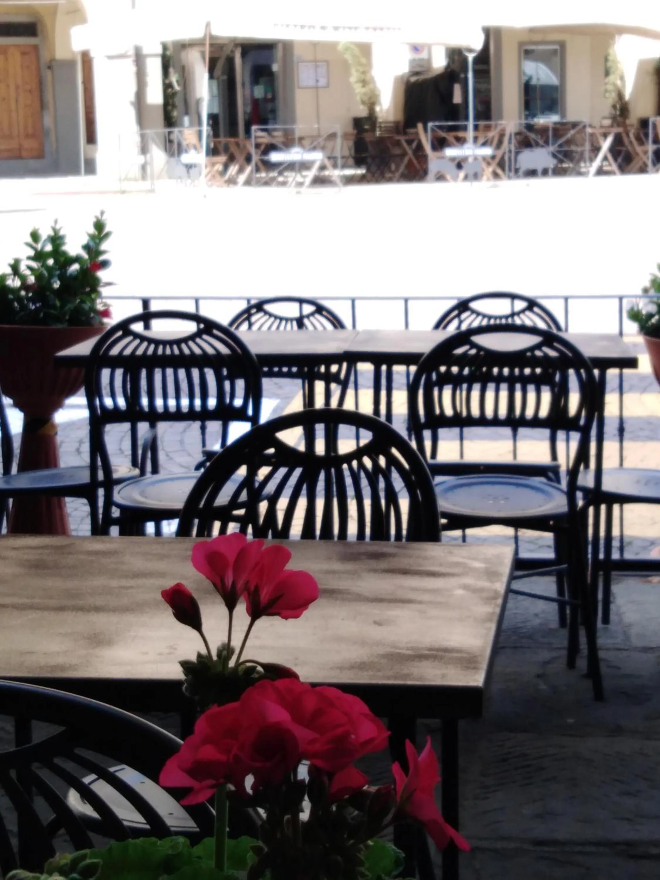 Restaurant/places to eat in Albergo Giovanni Da Verrazzano