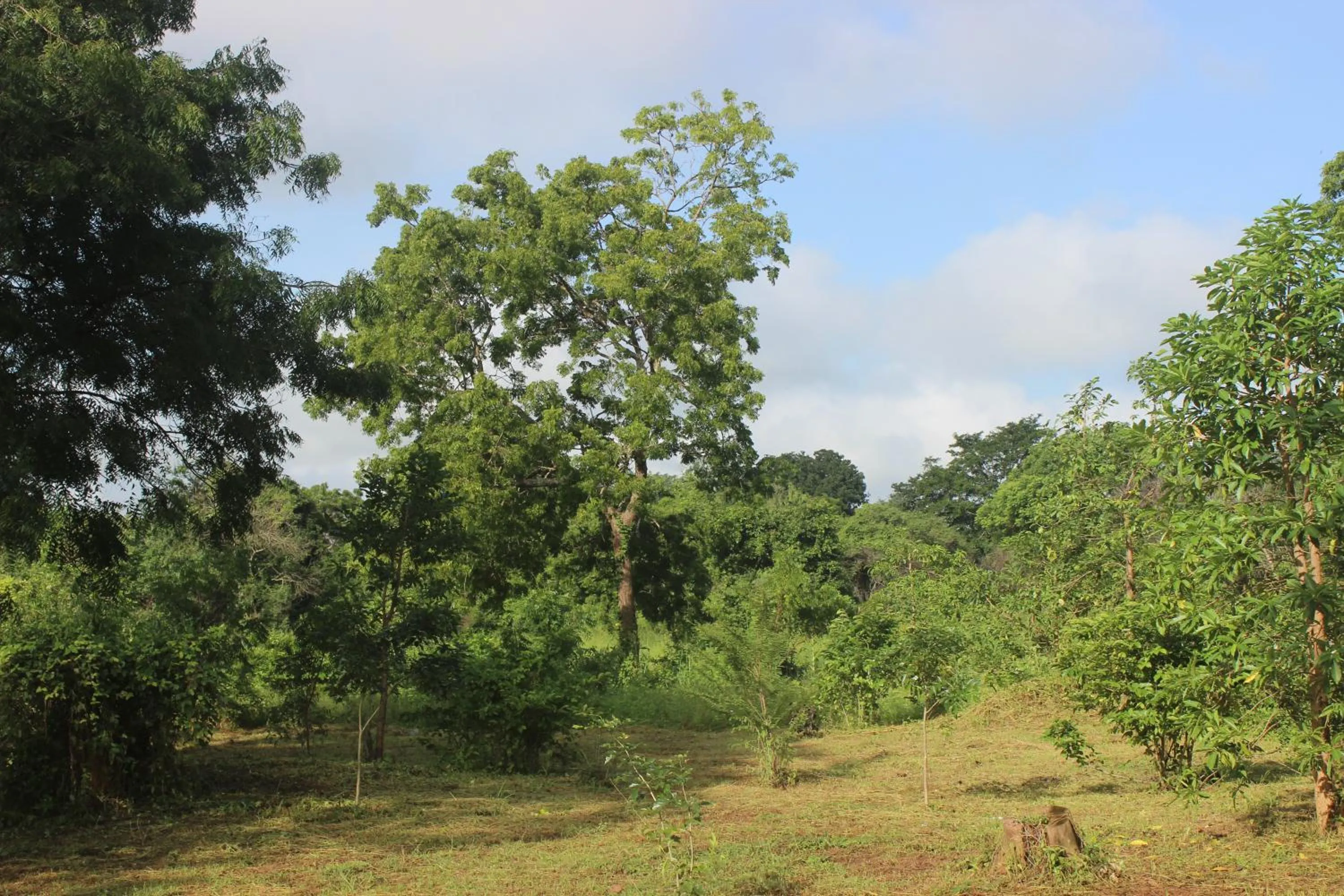 Wilpattu Holiday Home
