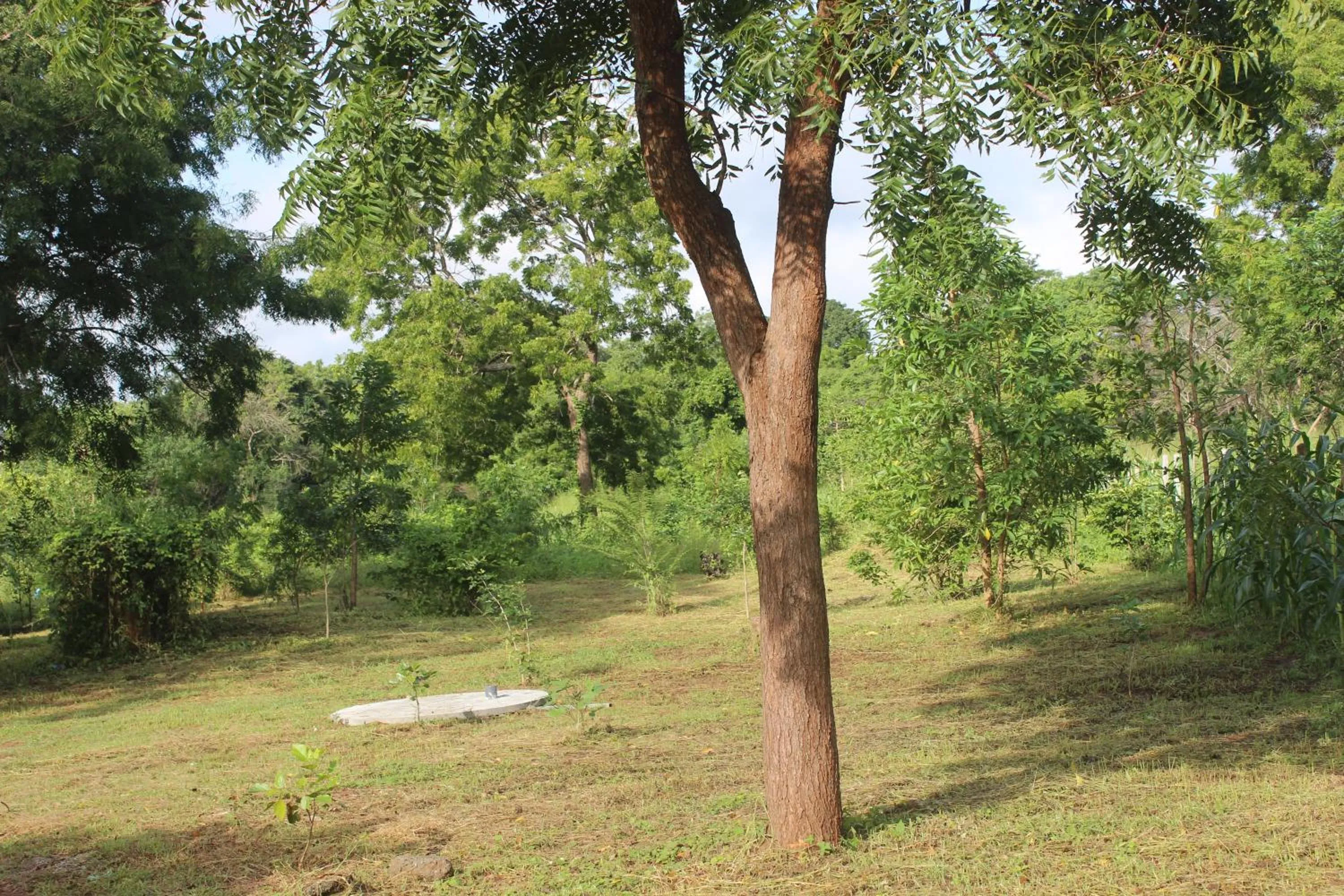 Wilpattu Holiday Home