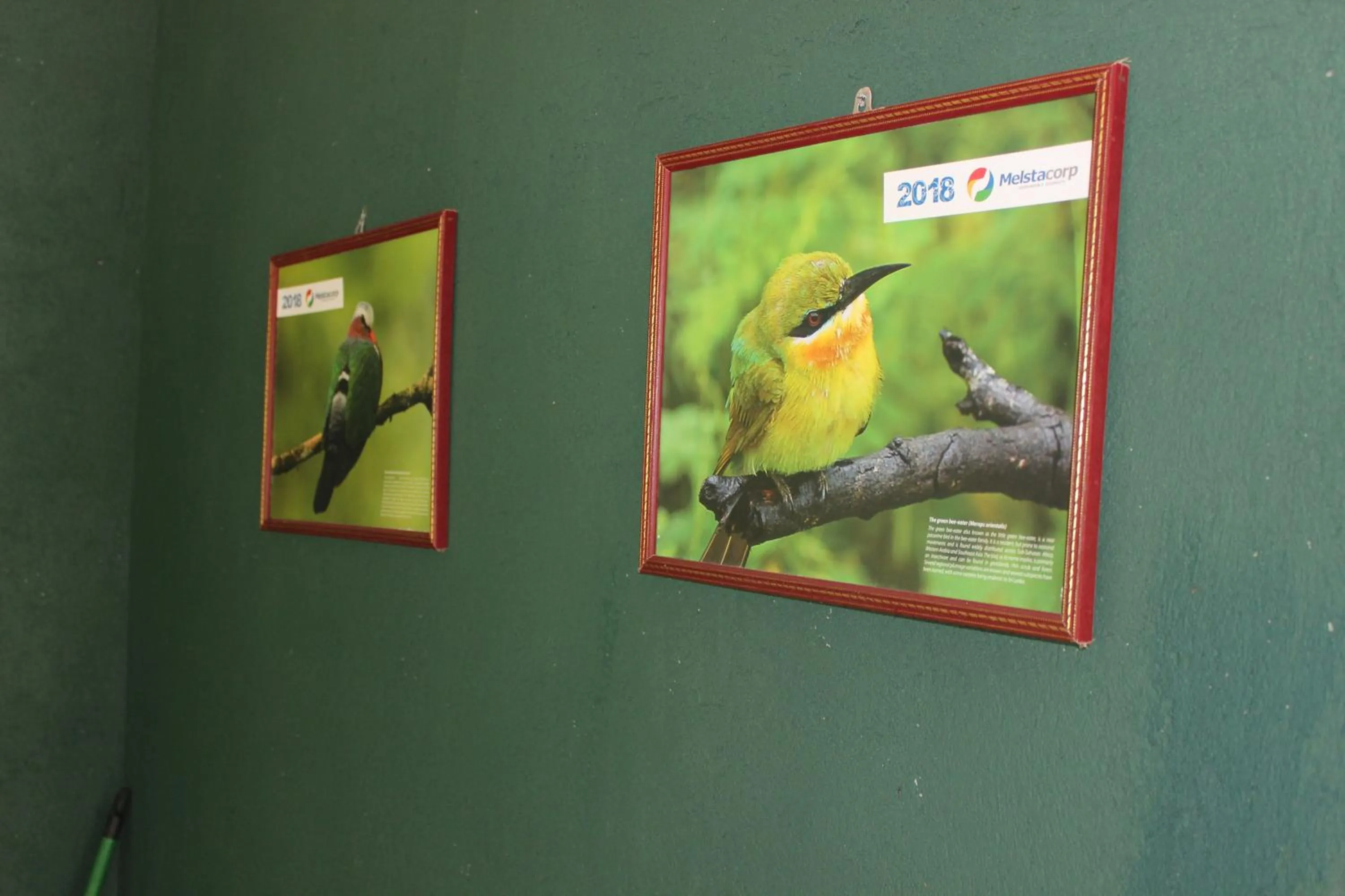 Wilpattu Holiday Home