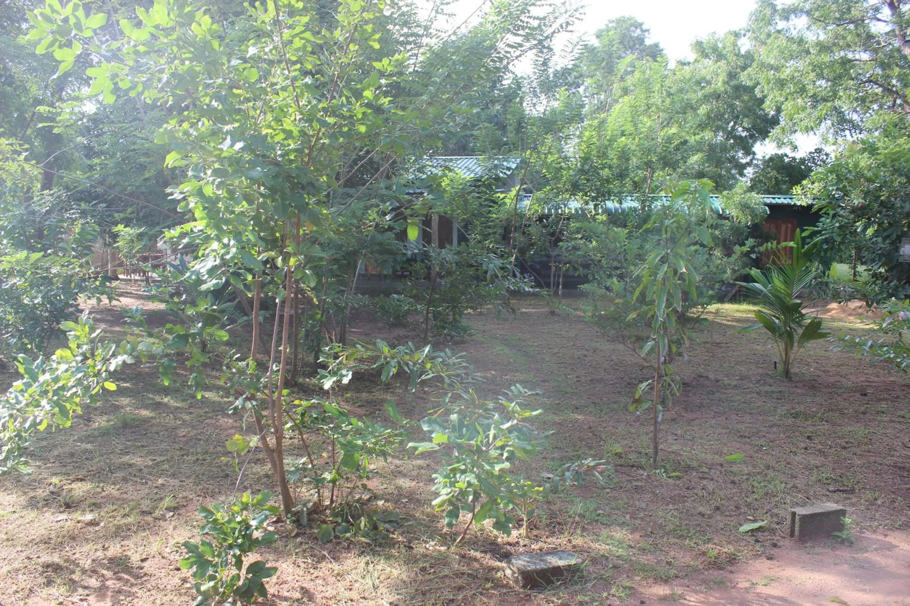 Wilpattu Holiday Home