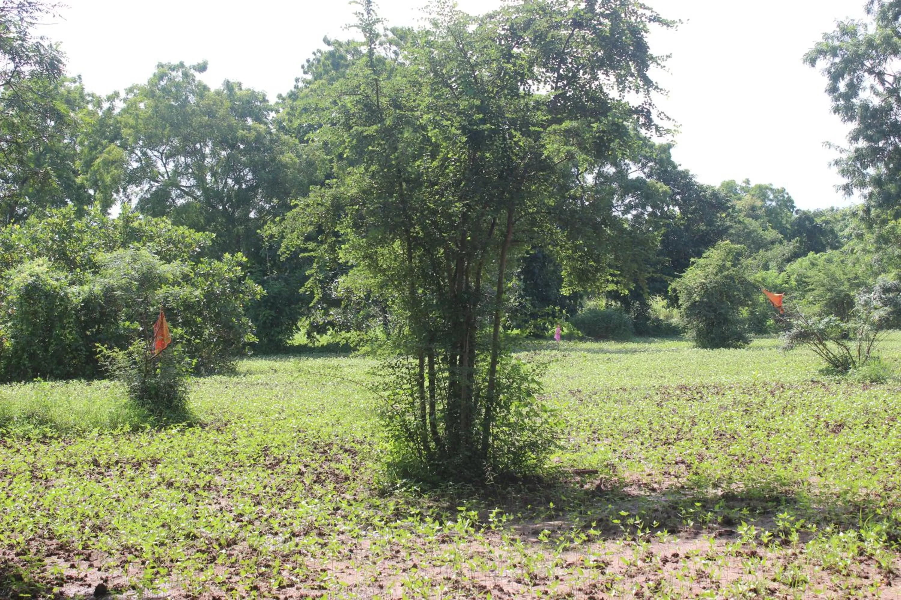 Wilpattu Holiday Home