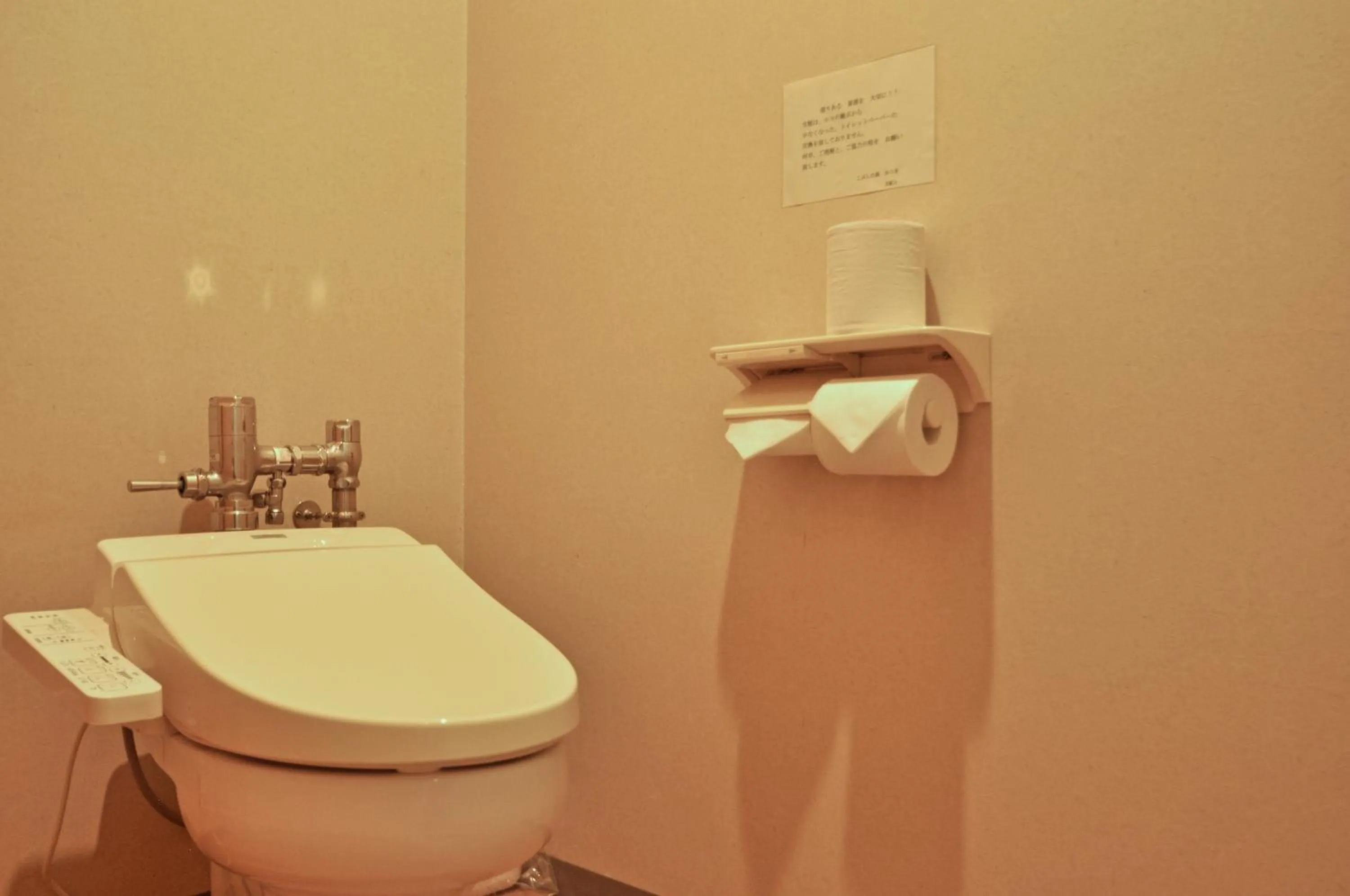 Toilet in Kobushi no Yu Atsuma