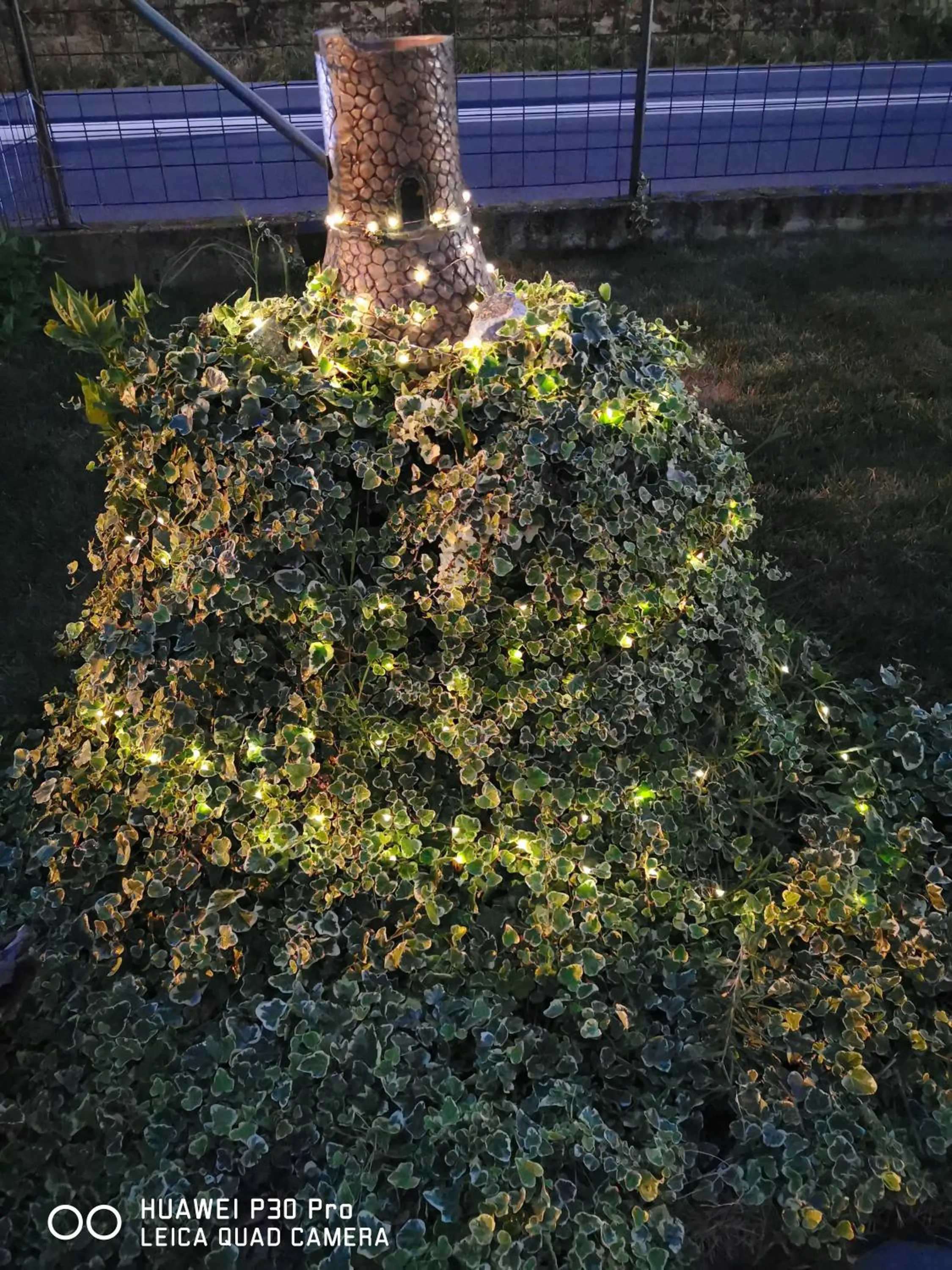 Garden in Bed And Breakfast "ANNA"