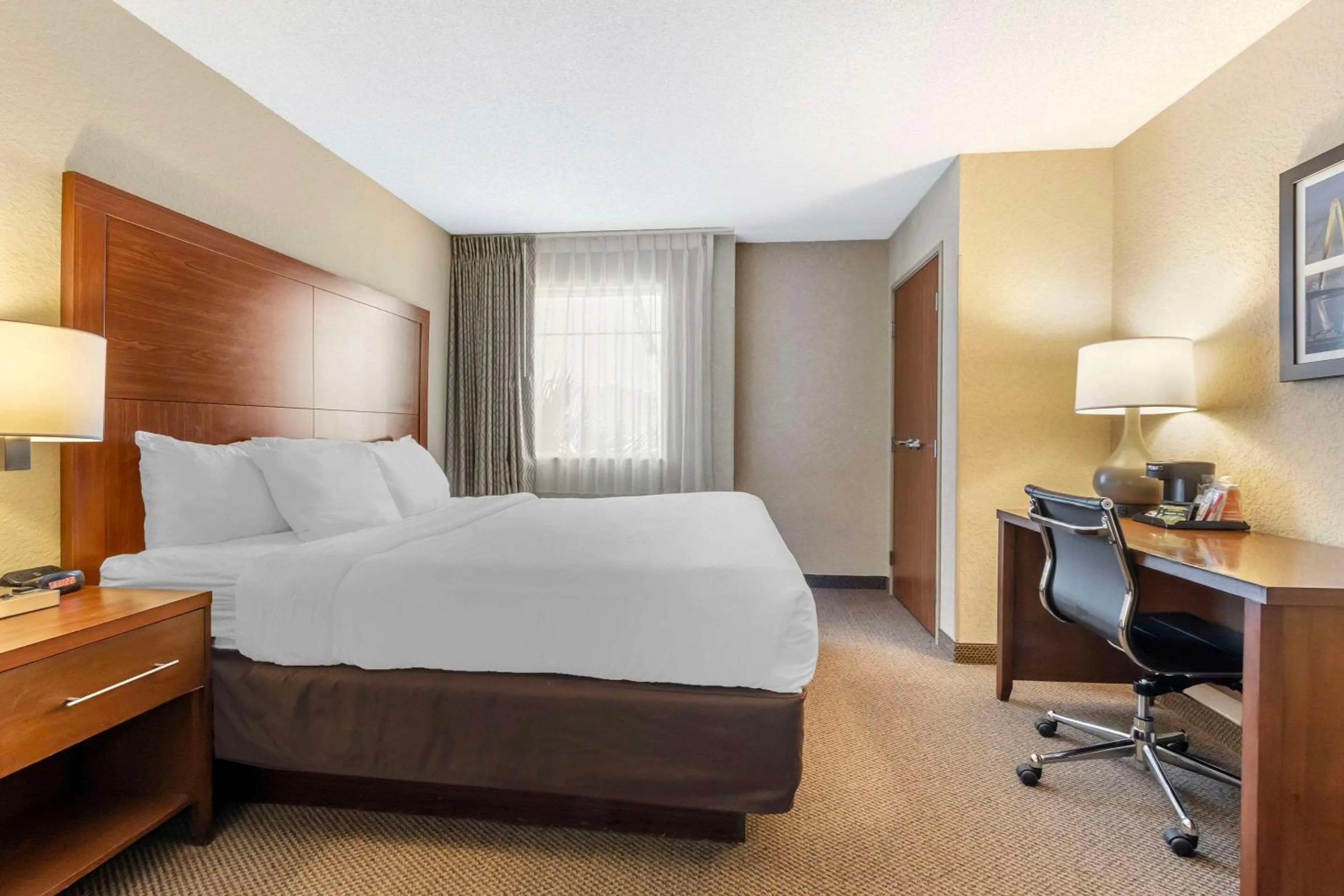 Bedroom, Bed in Comfort Inn & Suites Charleston Airport Convention Center