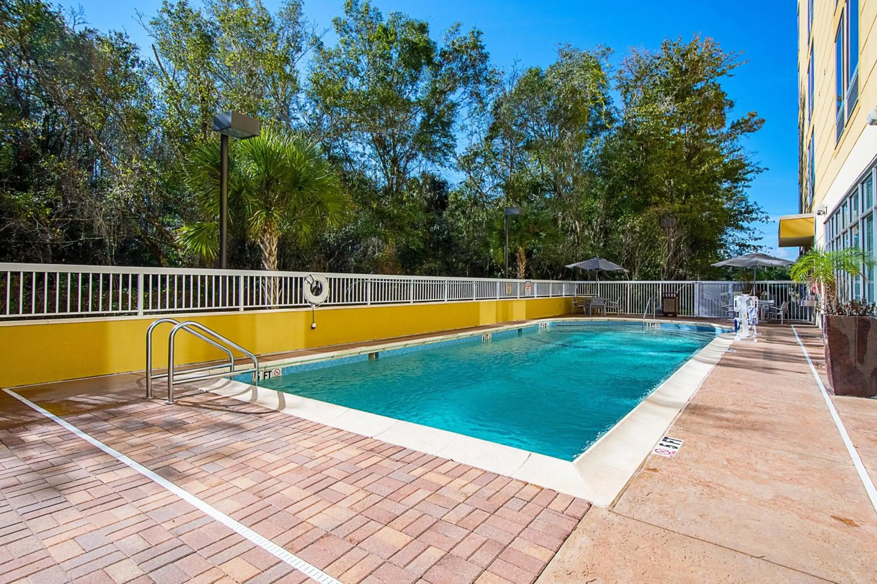Swimming pool in SpringHill Suites Tampa North/Tampa Palms