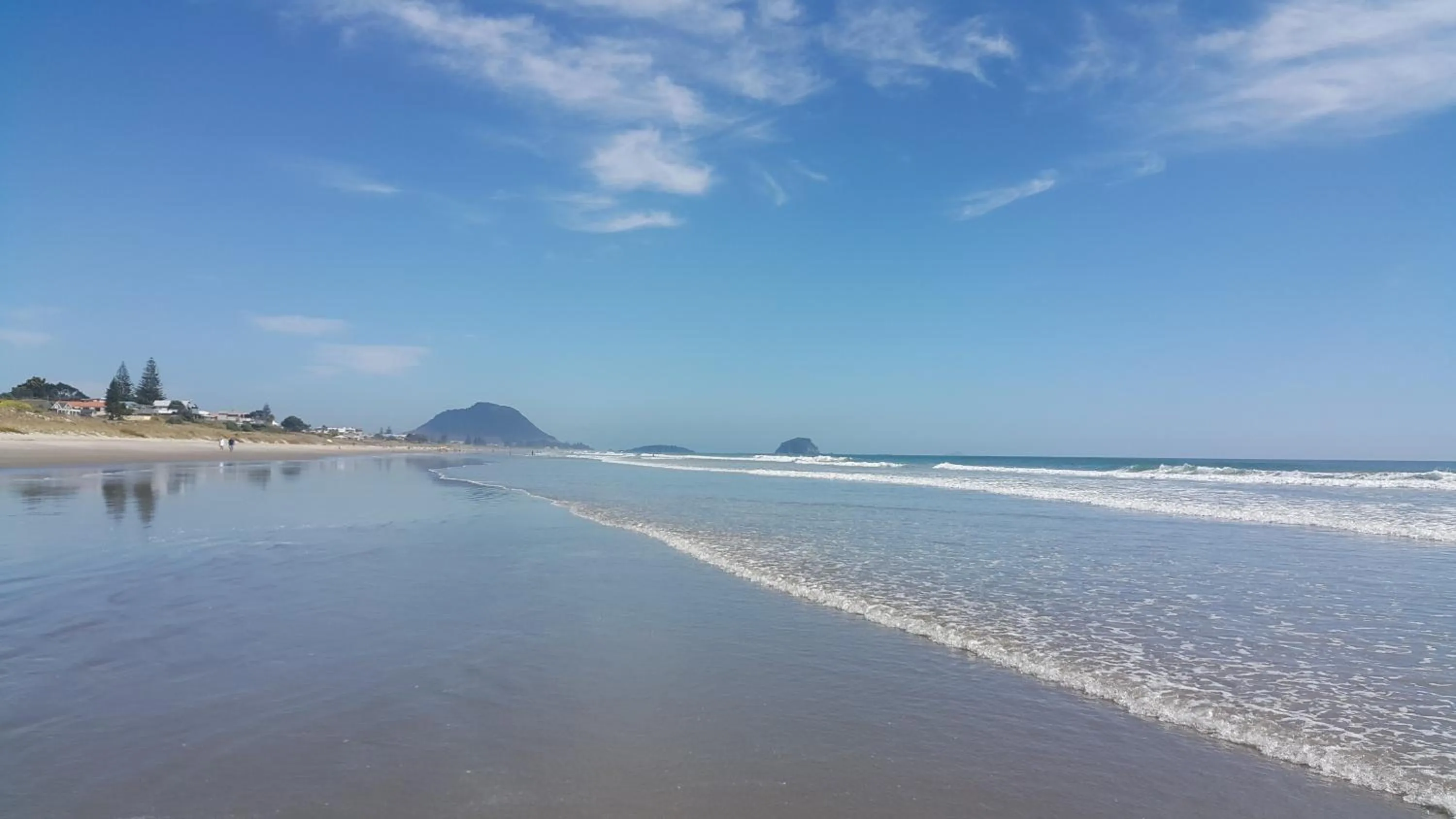 Natural landscape in Bay Palm Motel