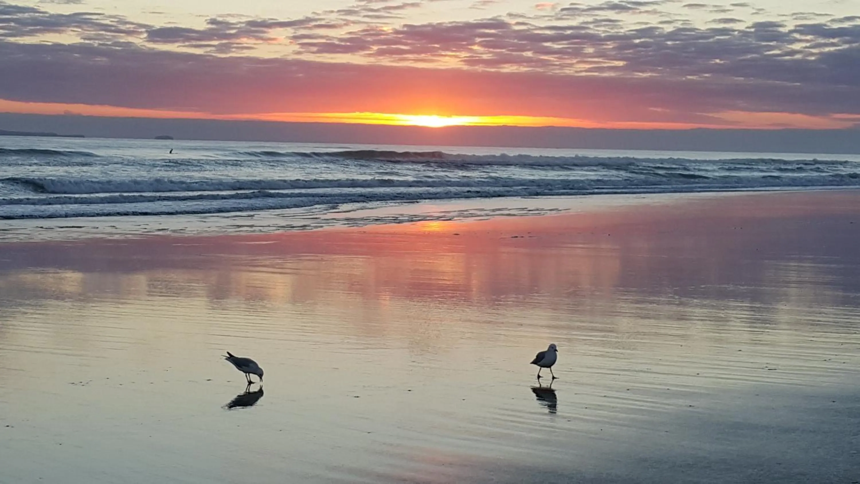 Neighbourhood in Bay Palm Motel