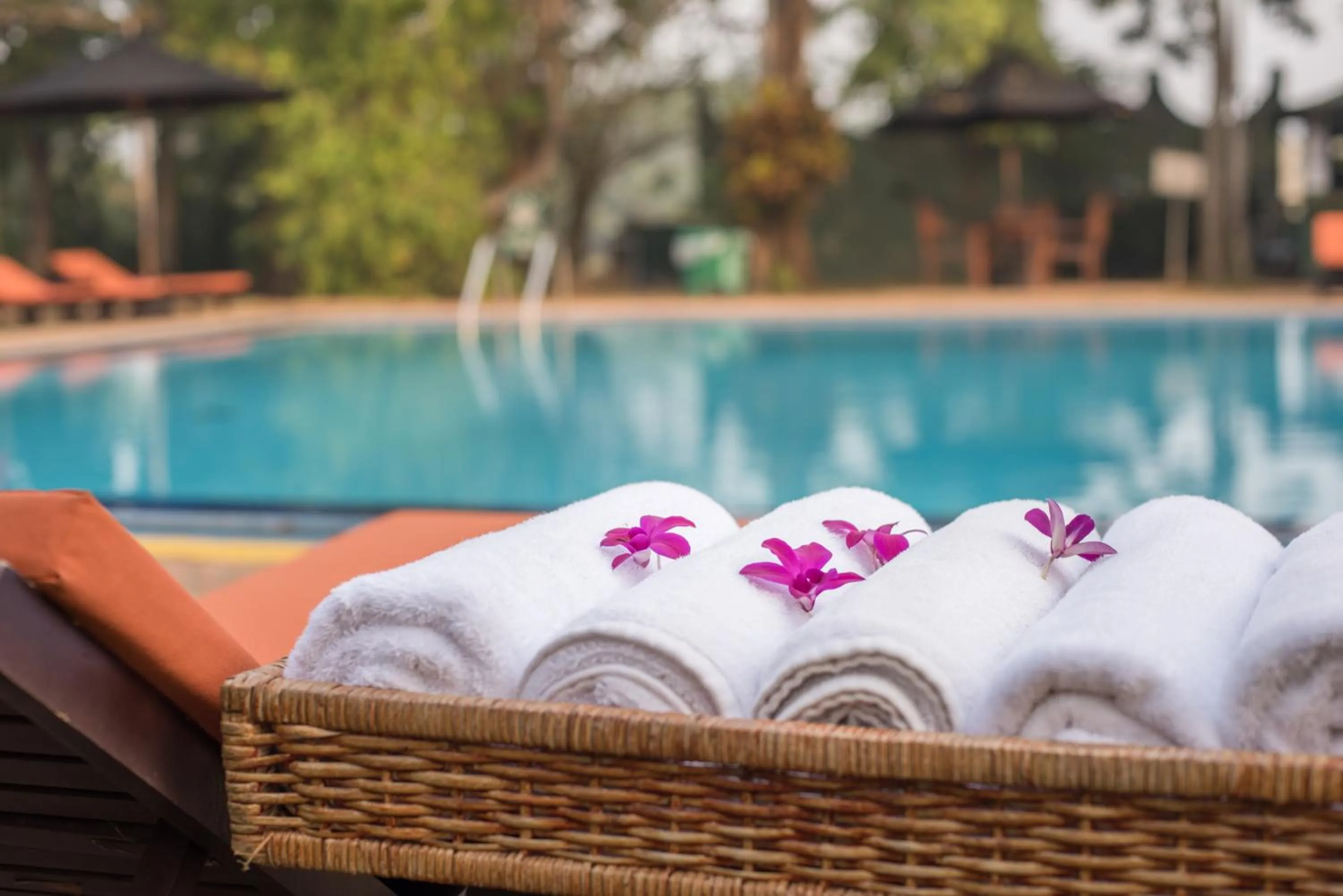 Swimming pool in Vivanta Colombo, Airport Garden