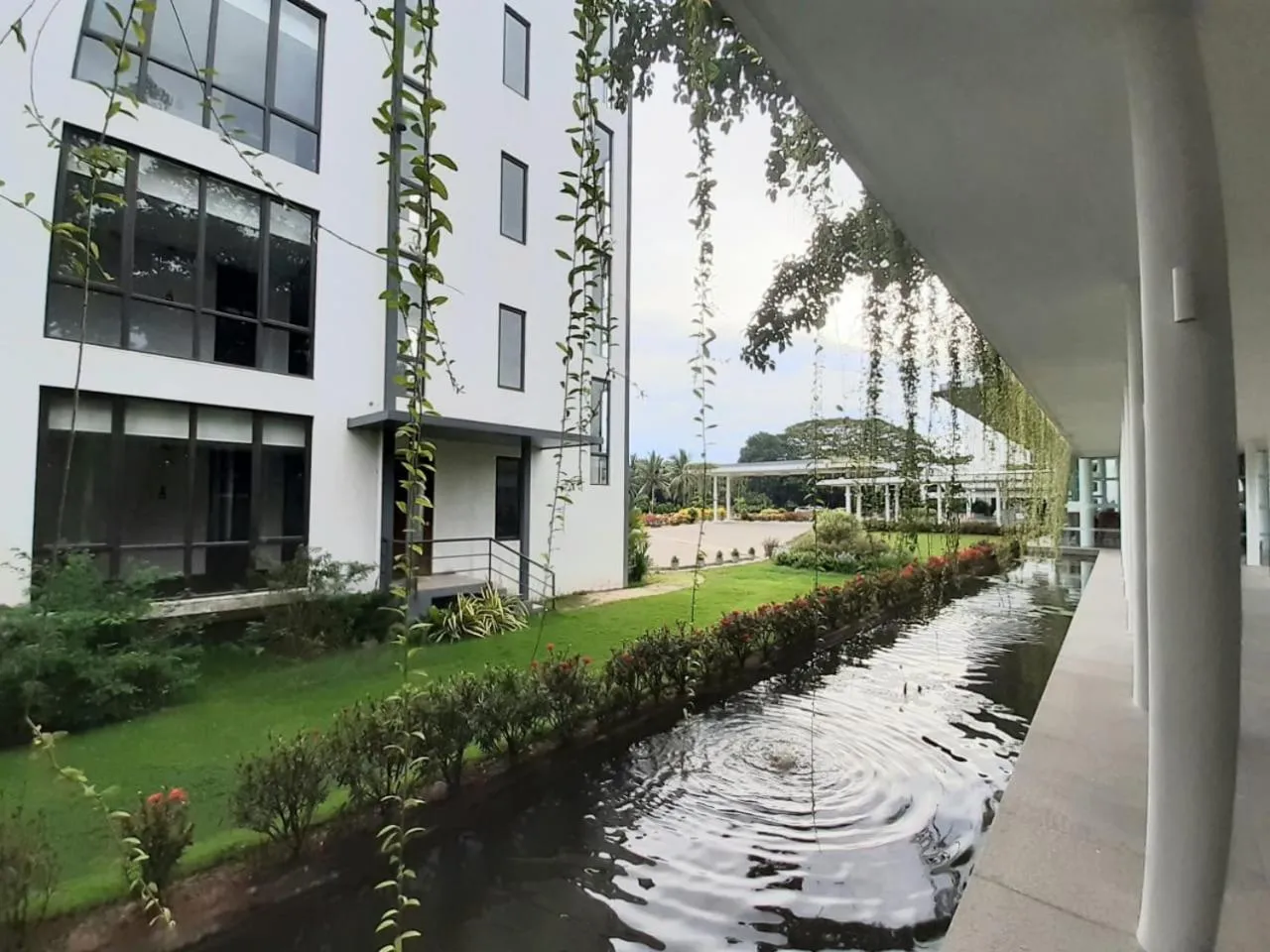 Garden in Vivanta Colombo, Airport Garden