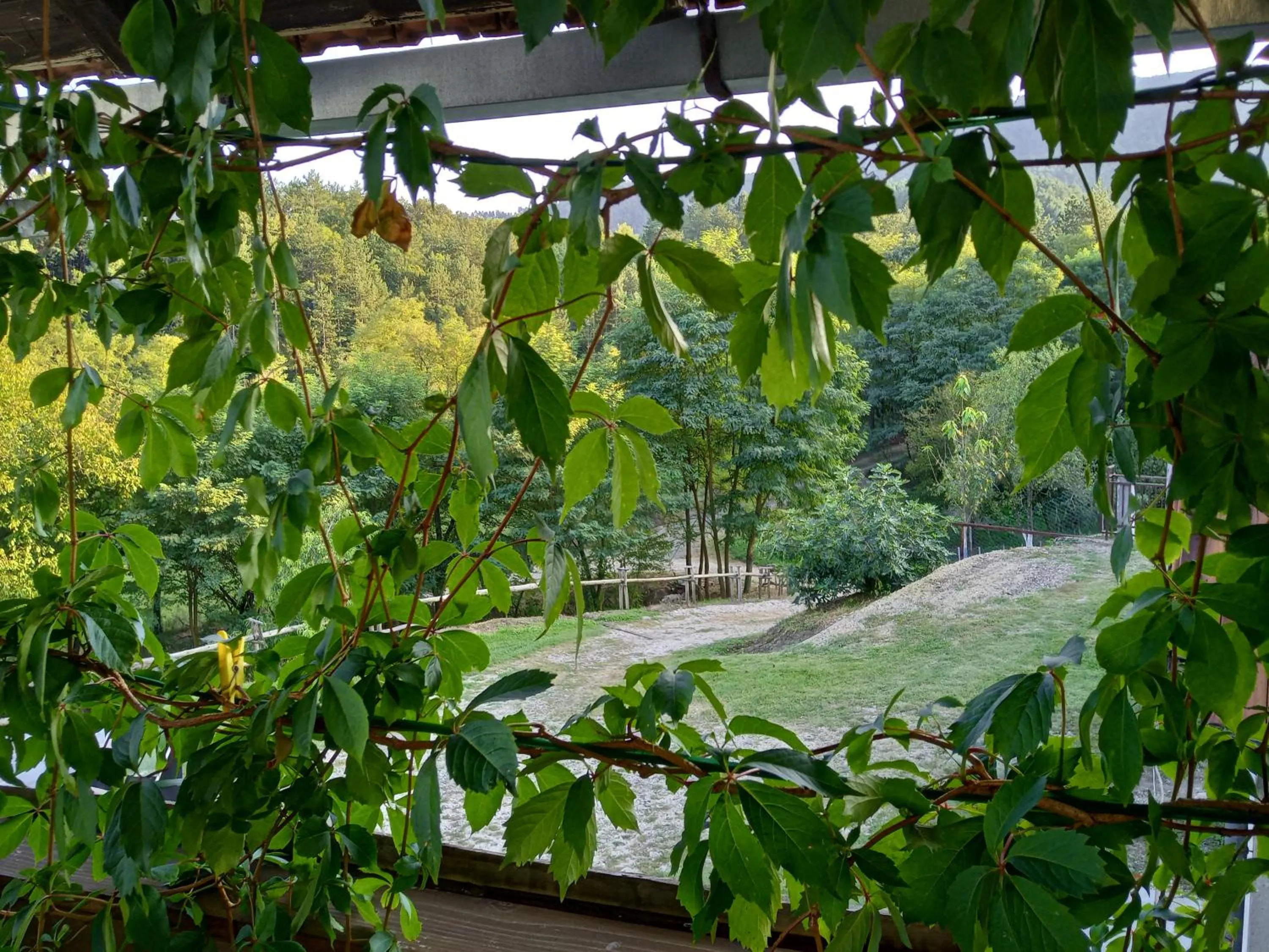 Balcony/Terrace in Country House Roman