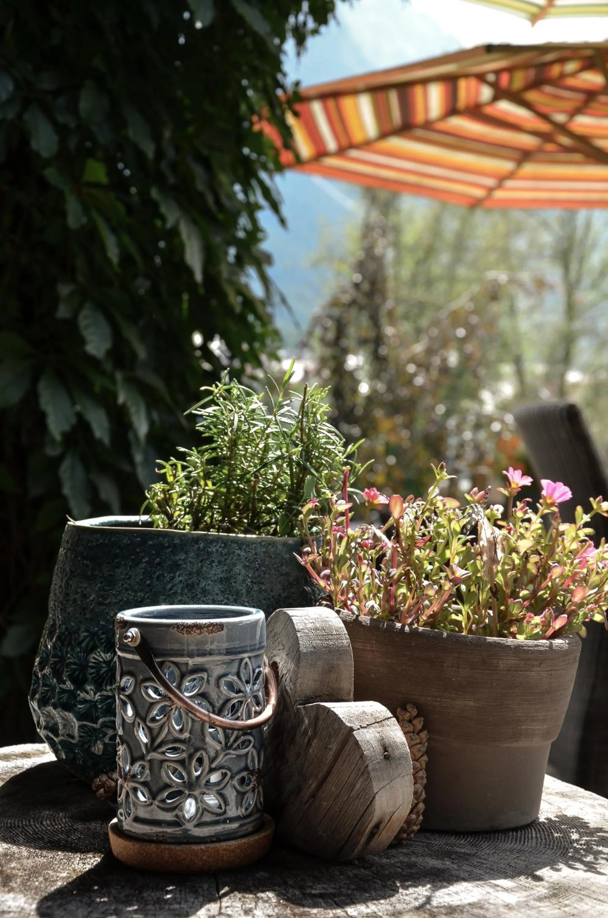 Balcony/Terrace in Hotel Ehrwalderhof