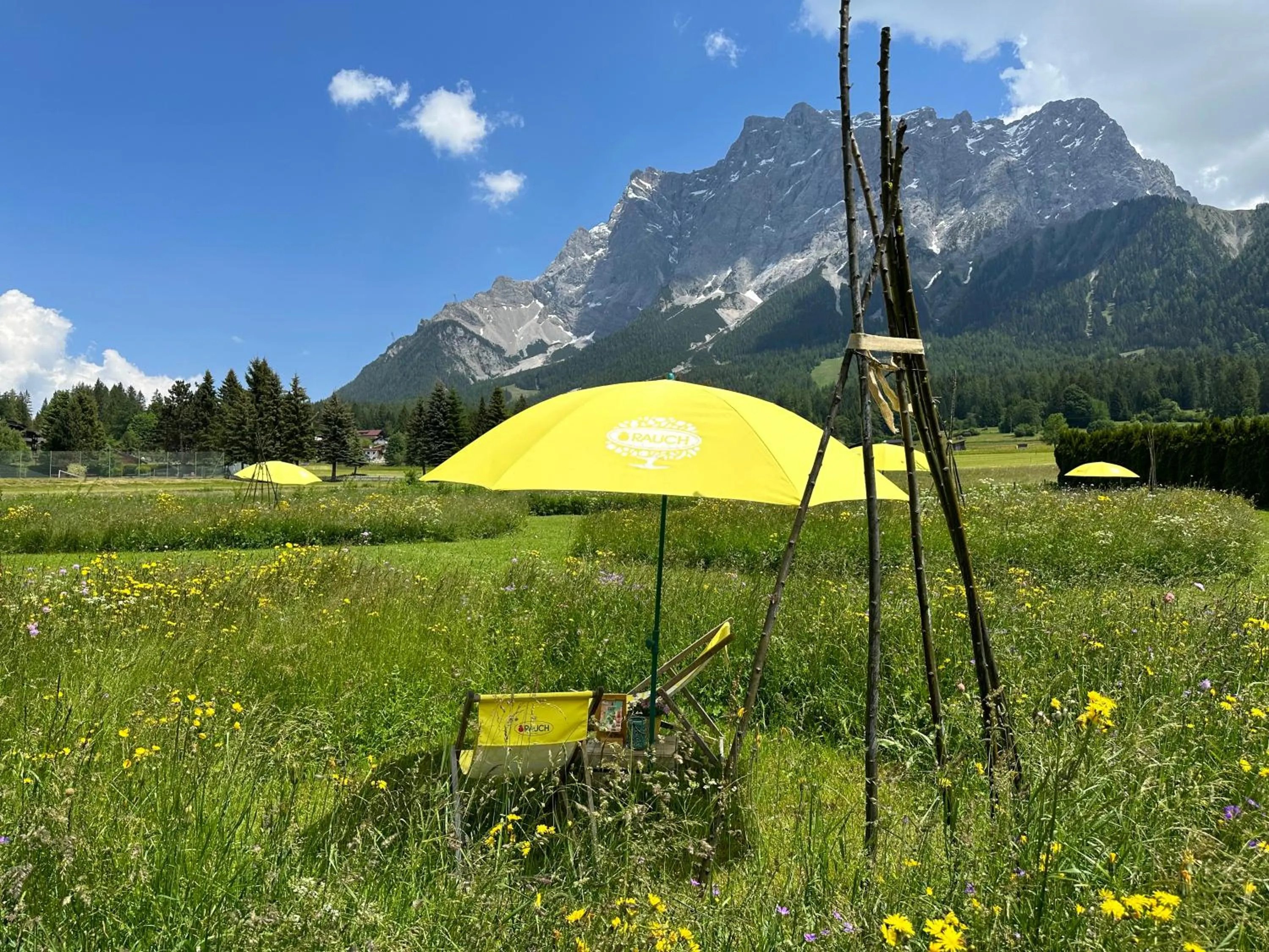 Natural landscape in Hotel Ehrwalderhof