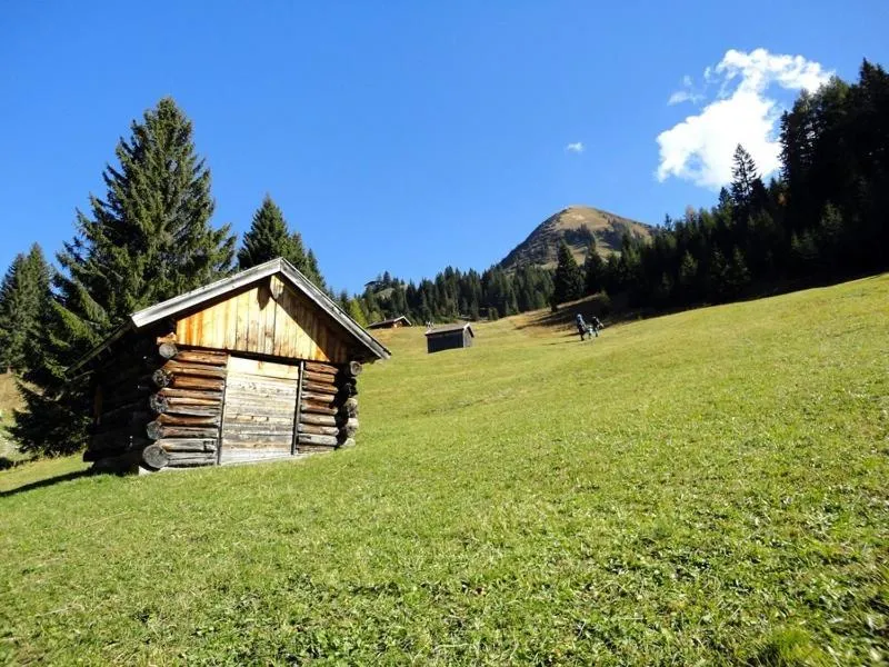 Area and facilities in Hotel Ehrwalderhof