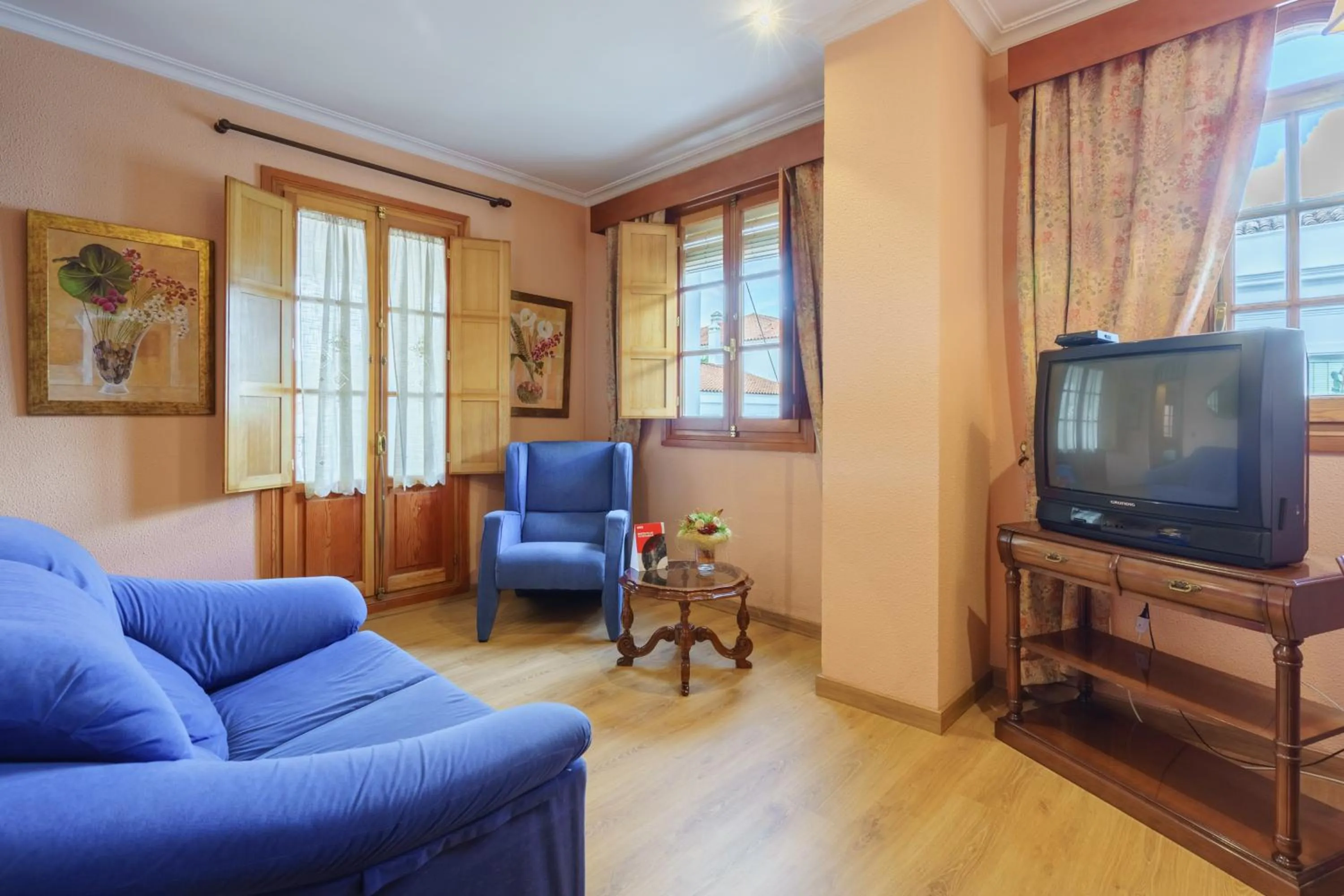 TV and multimedia in Hotel Los Castaños