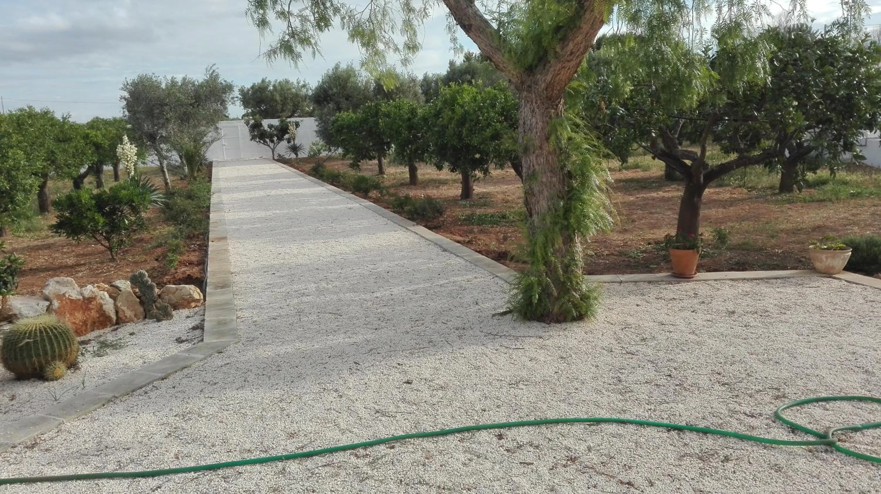 Garden in Tenuta Arate