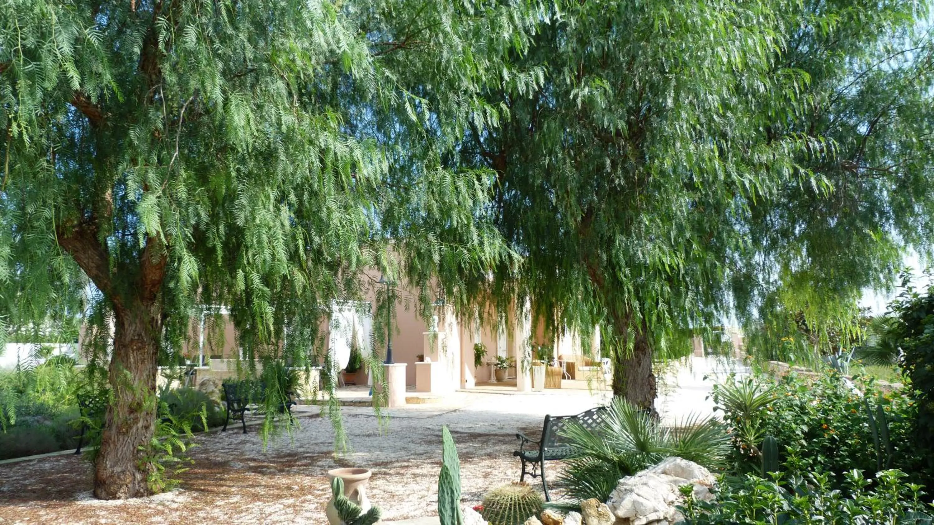 Property building in Tenuta Arate