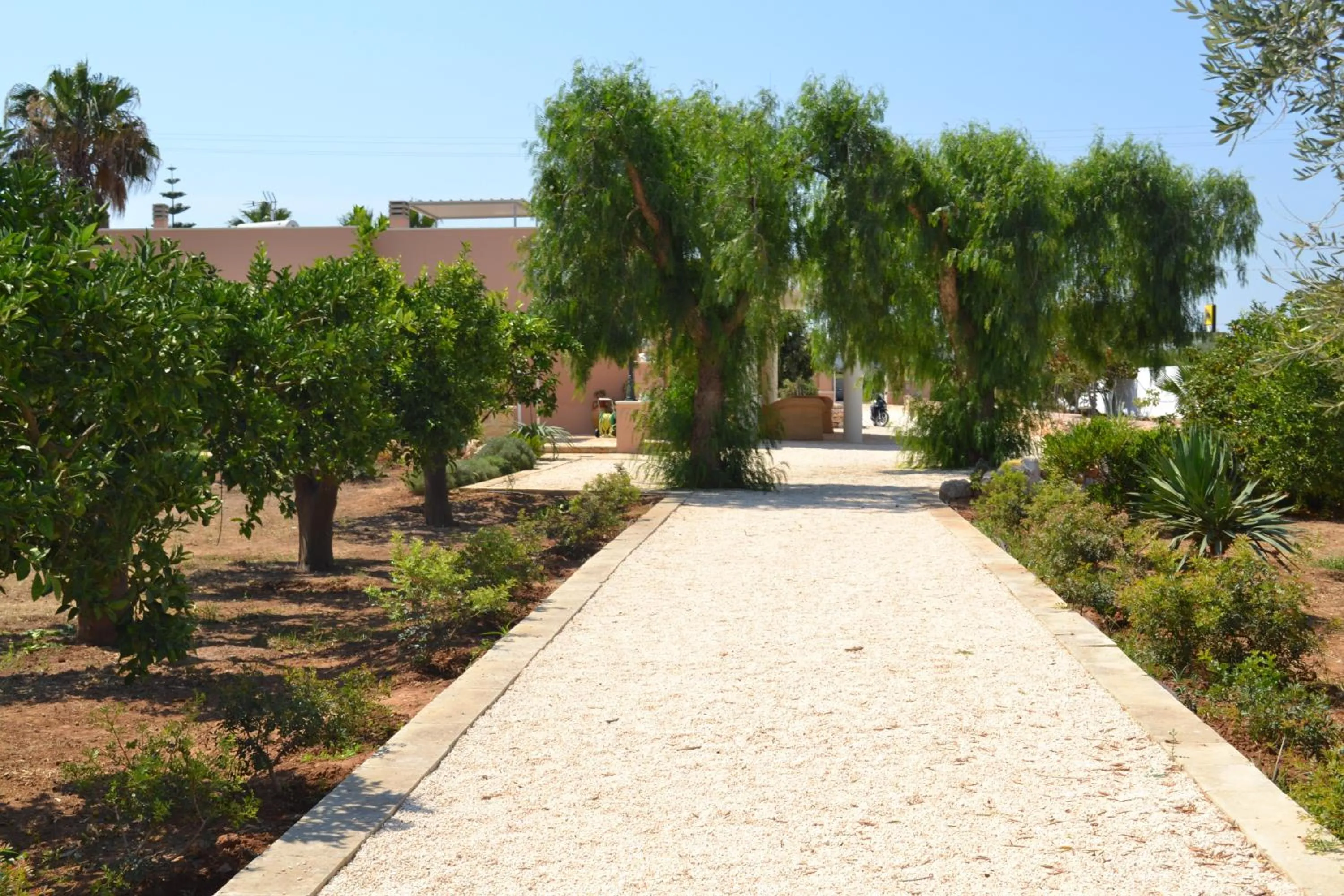 Garden in Tenuta Arate