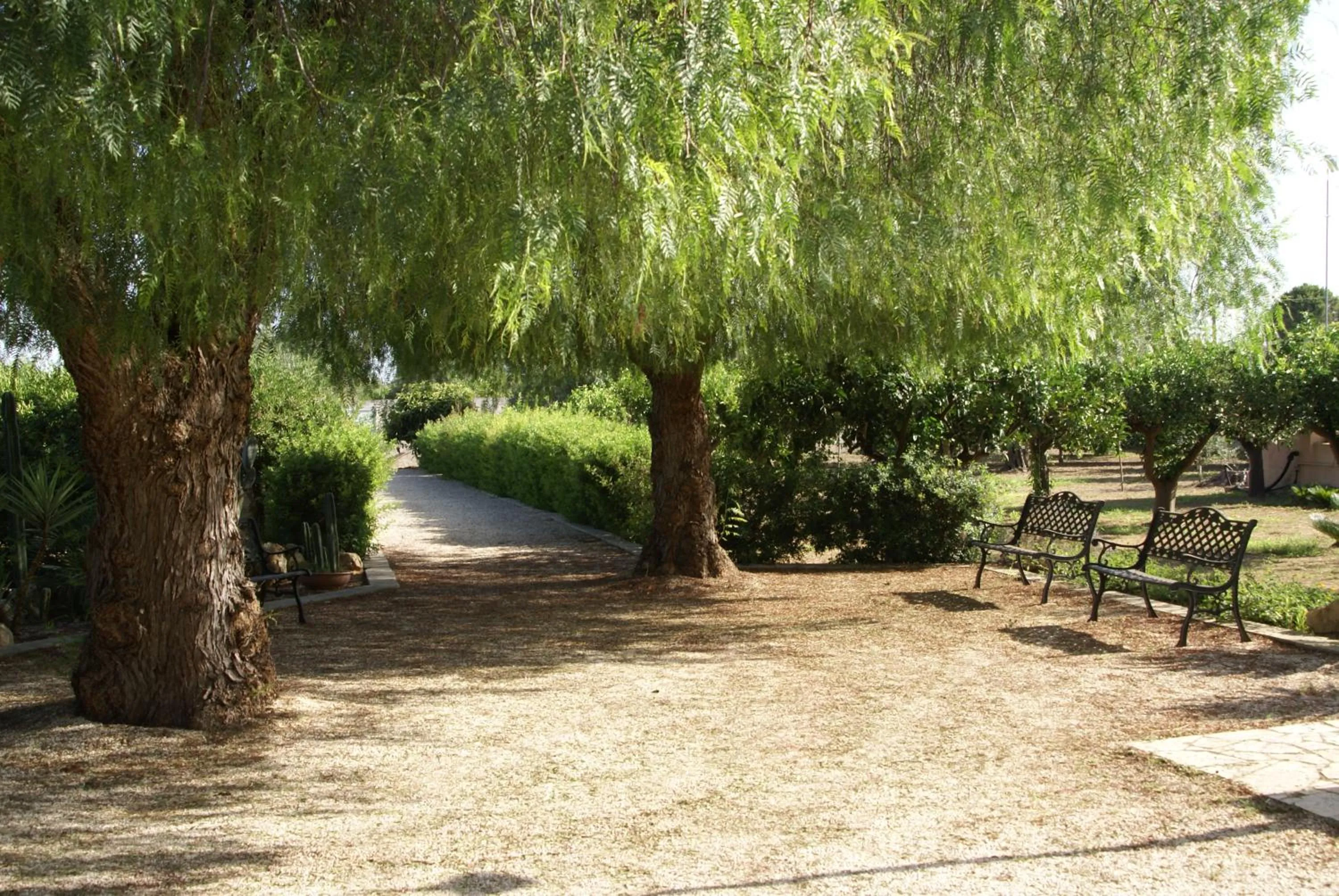 Garden in Tenuta Arate