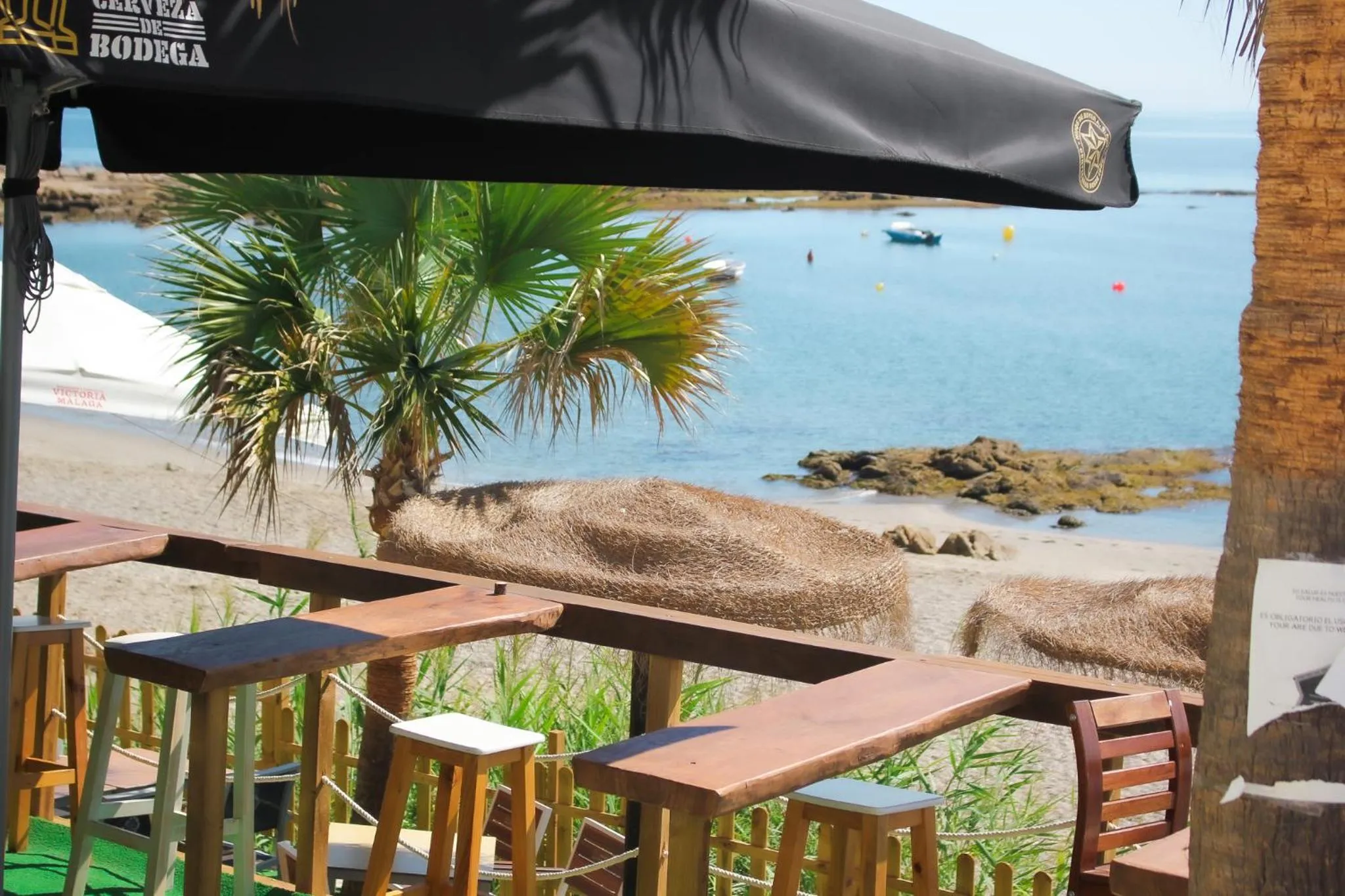 Lounge or bar in Hotel Patricia