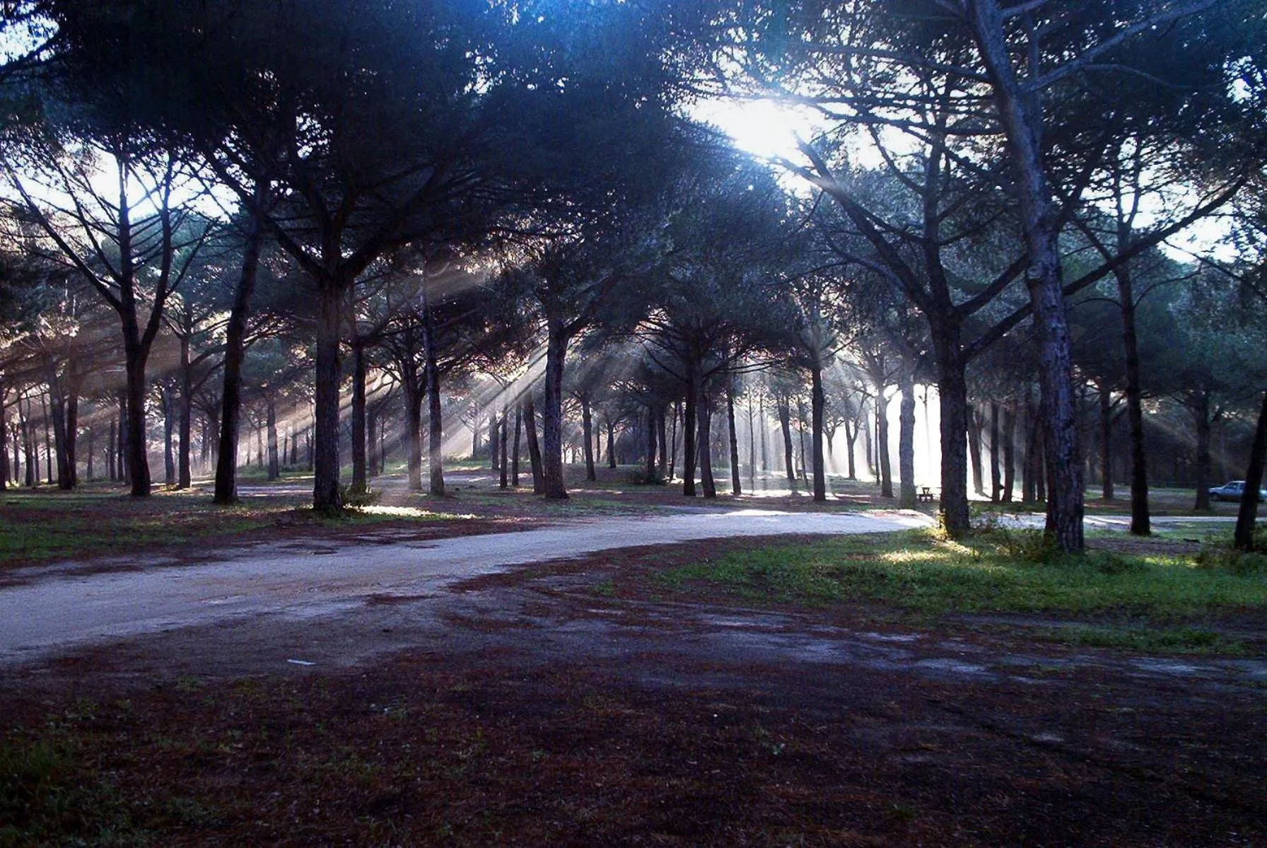 Natural landscape in Hotel Patricia