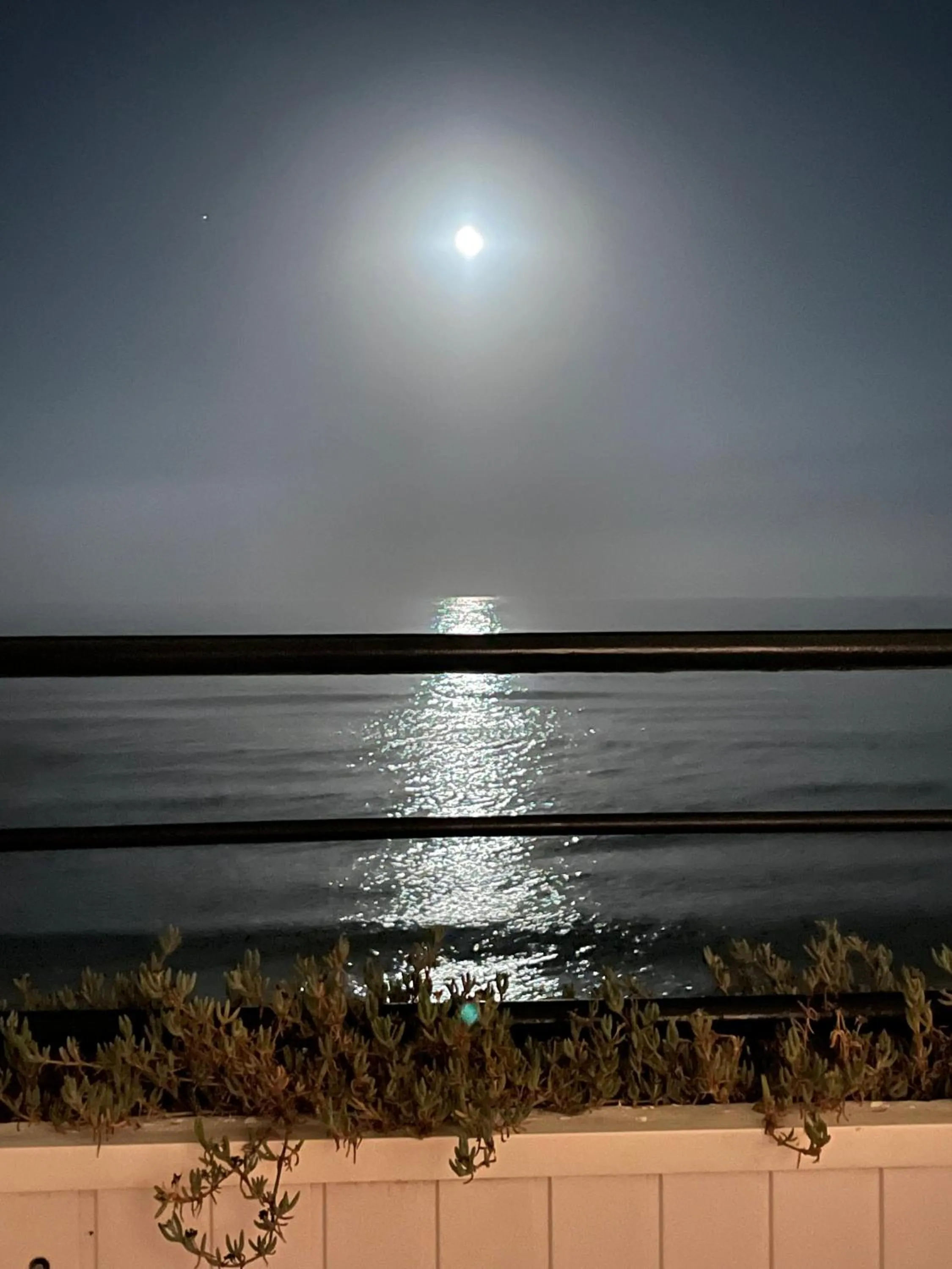 Sea view in Hotel Patricia